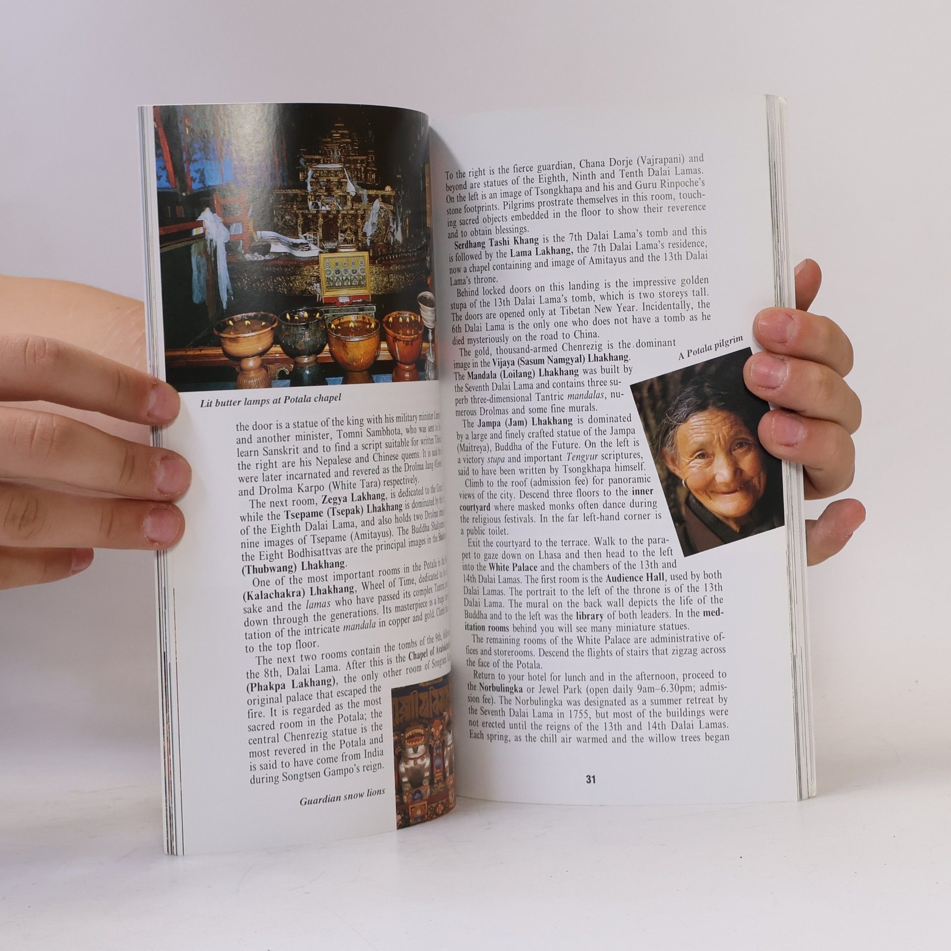 Beek Steve van Insight Pocket Guides: Tibet