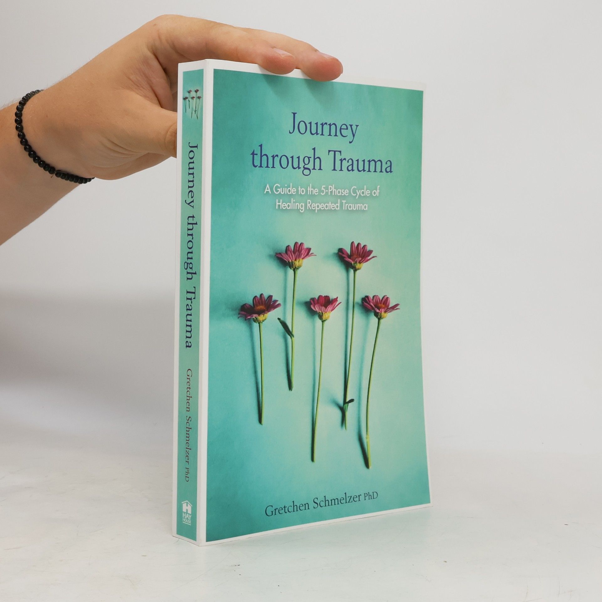 Gretchen L. Schmelzer Journey Through Trauma
