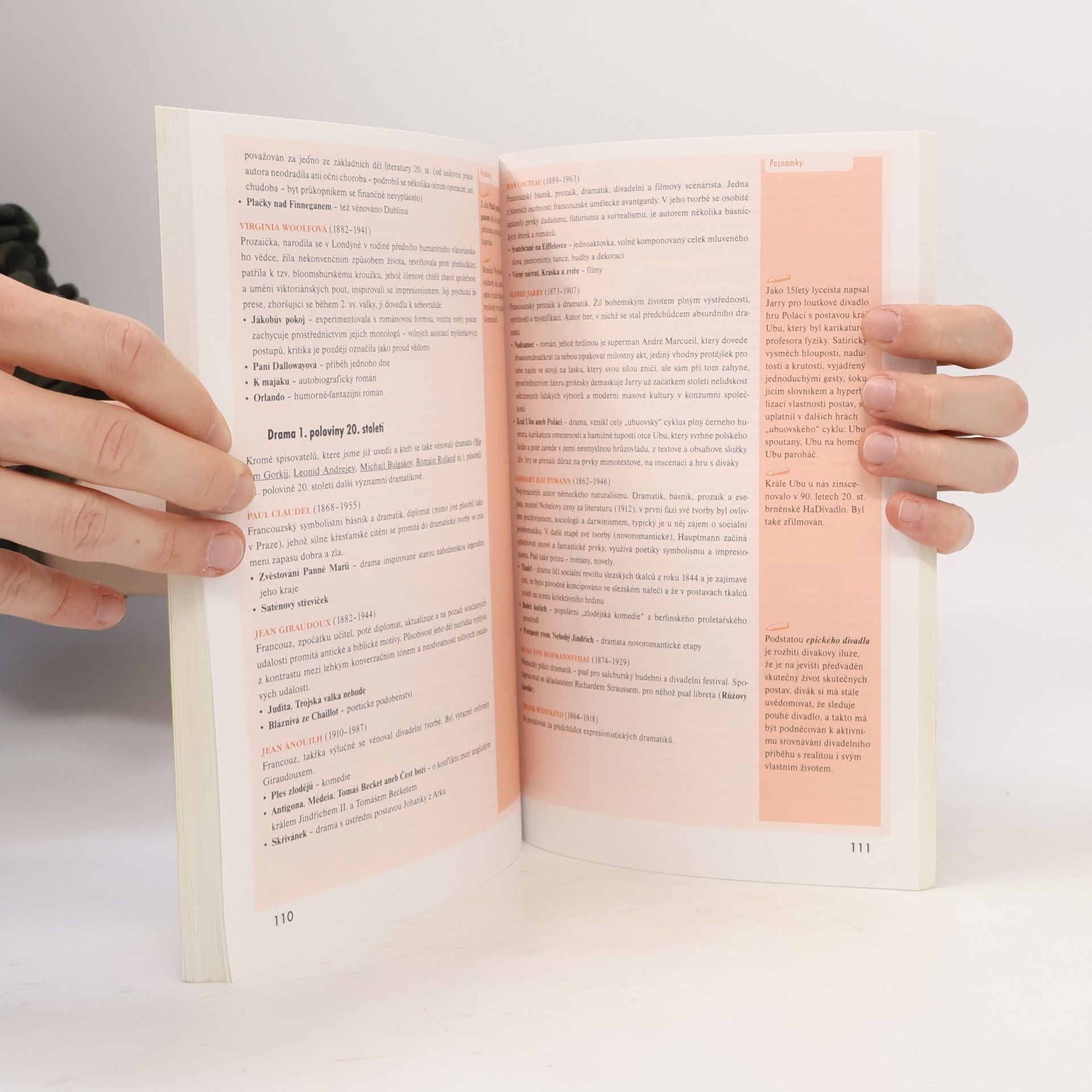 Eva Hánová Odmaturuj! z literatury