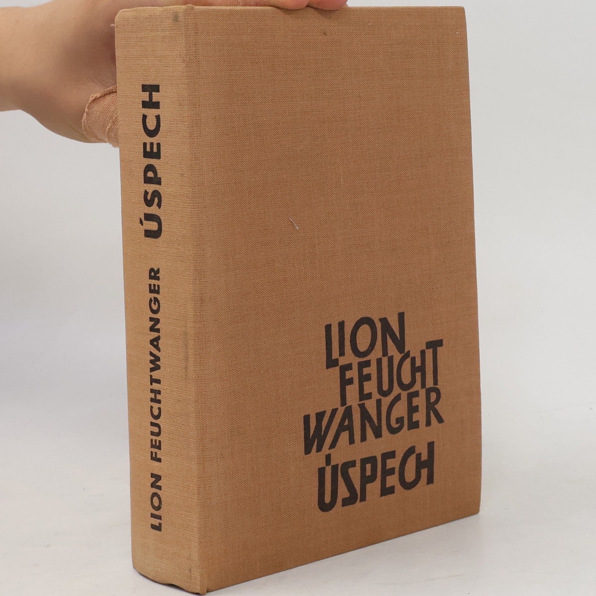 Lion Feuchtwanger Úspech