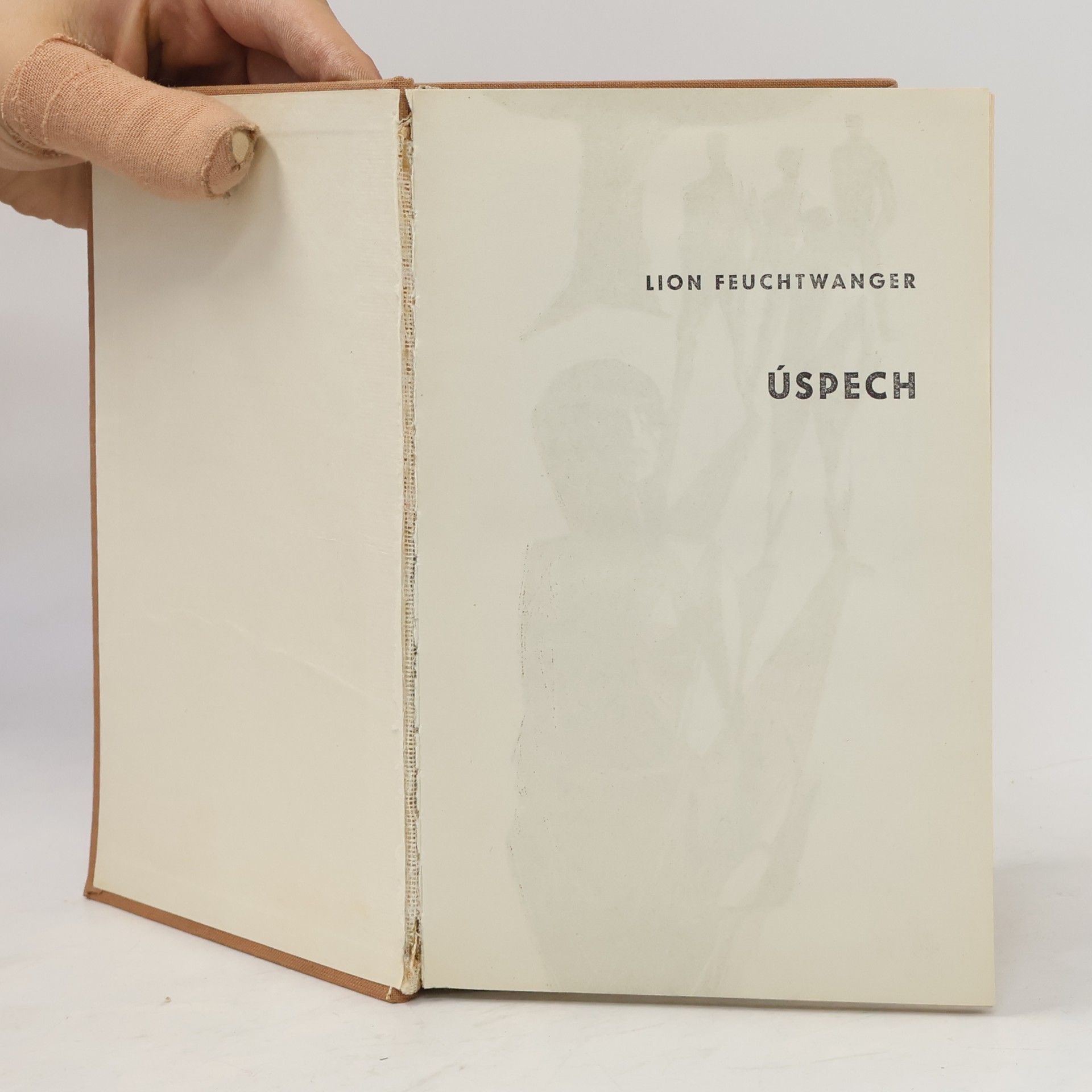 Lion Feuchtwanger Úspech
