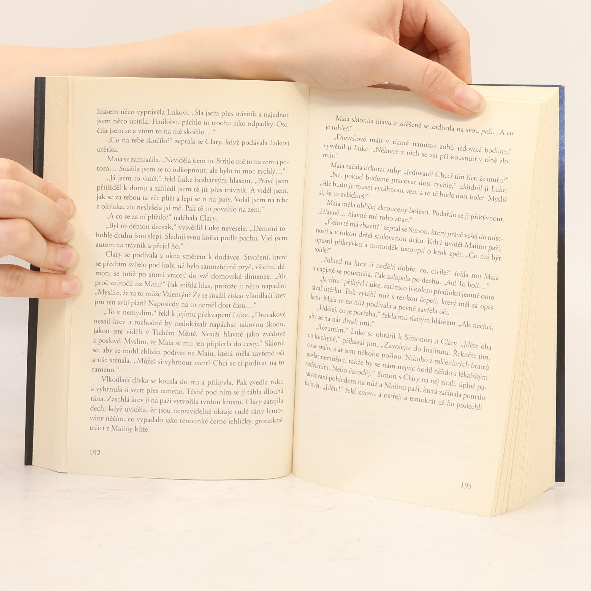 Cassandra Clare Nástroje smrti 2: Město z popela