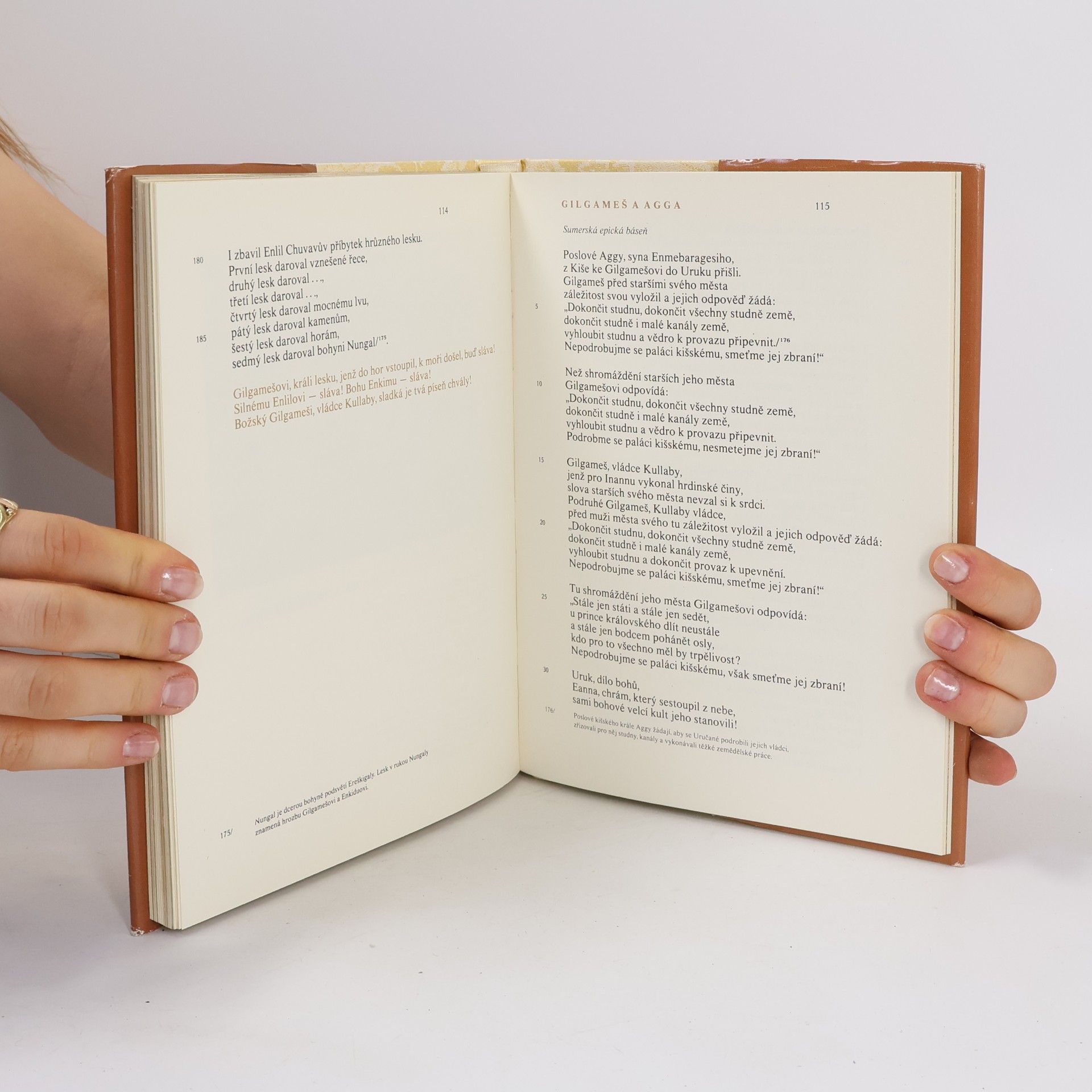 Kolektiv autorů Epos o Gilgamešovi