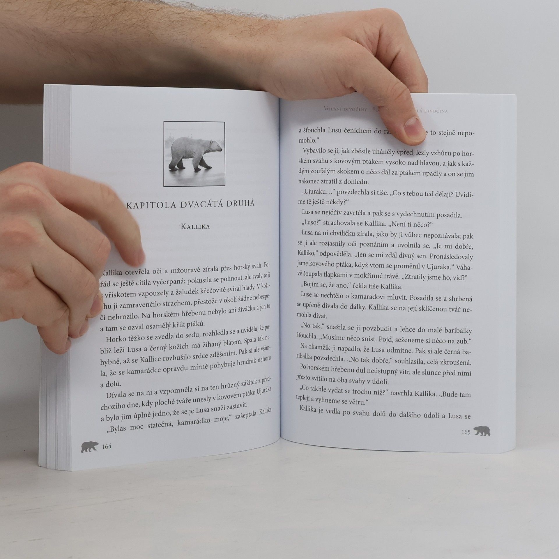 Erin Hunter Poslední rozlehlá divočina