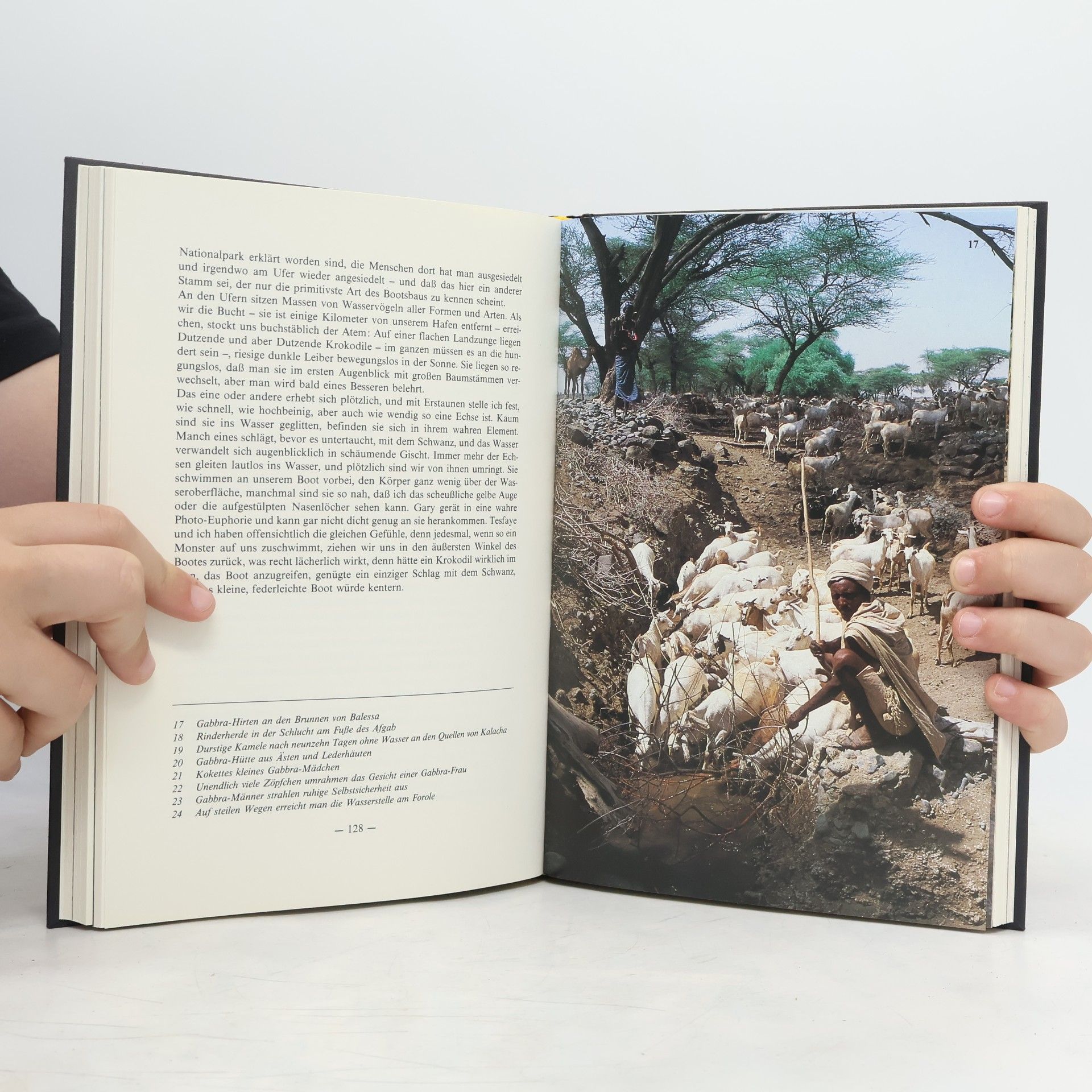 Marietheres Waldbott Es steht ein Berg in Afrika