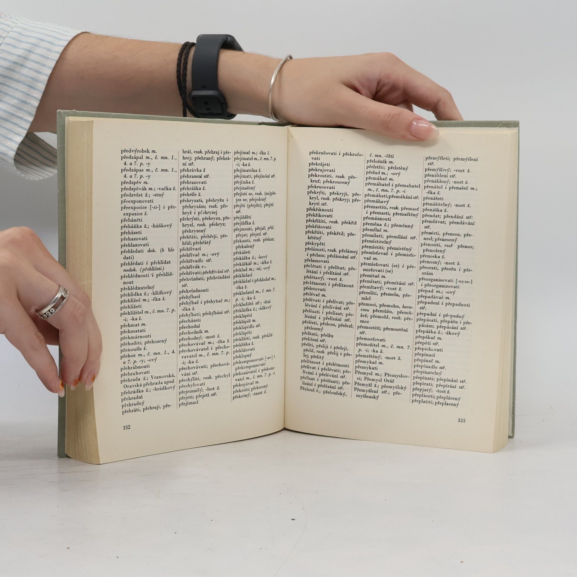 Autorenkollektiv Pravidla českého pravopisu