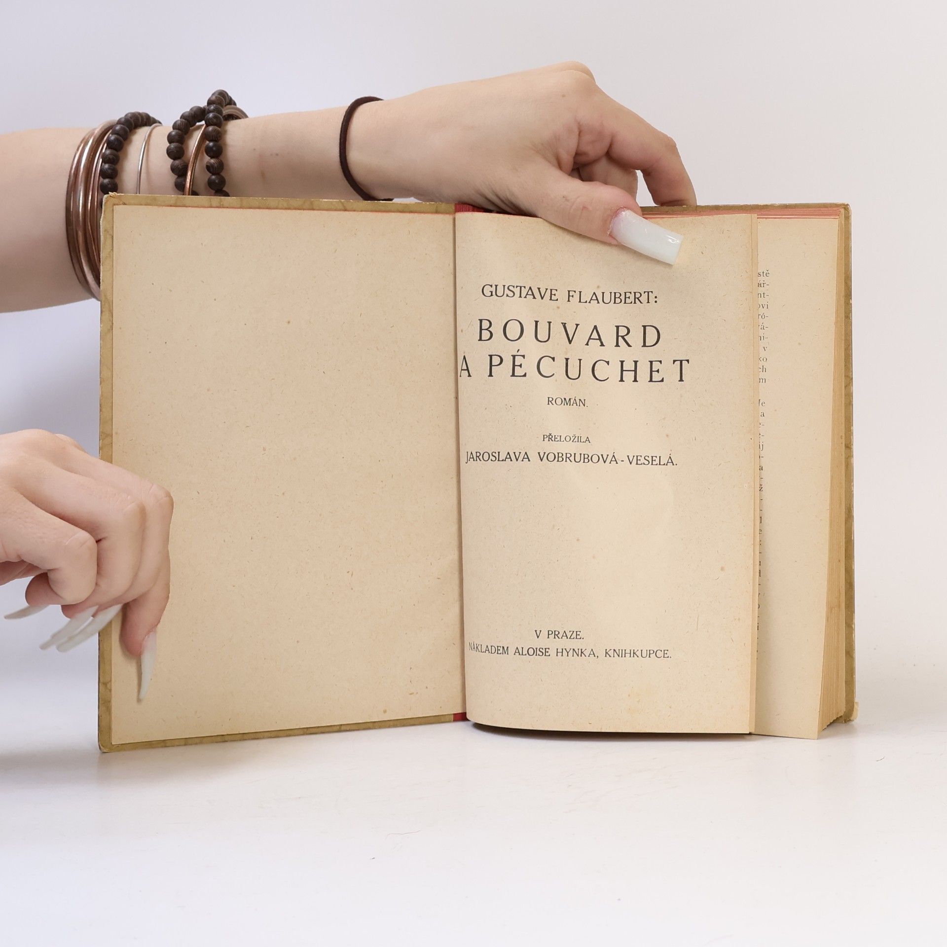 Gustave Flaubert Bouvard a Pécuchet