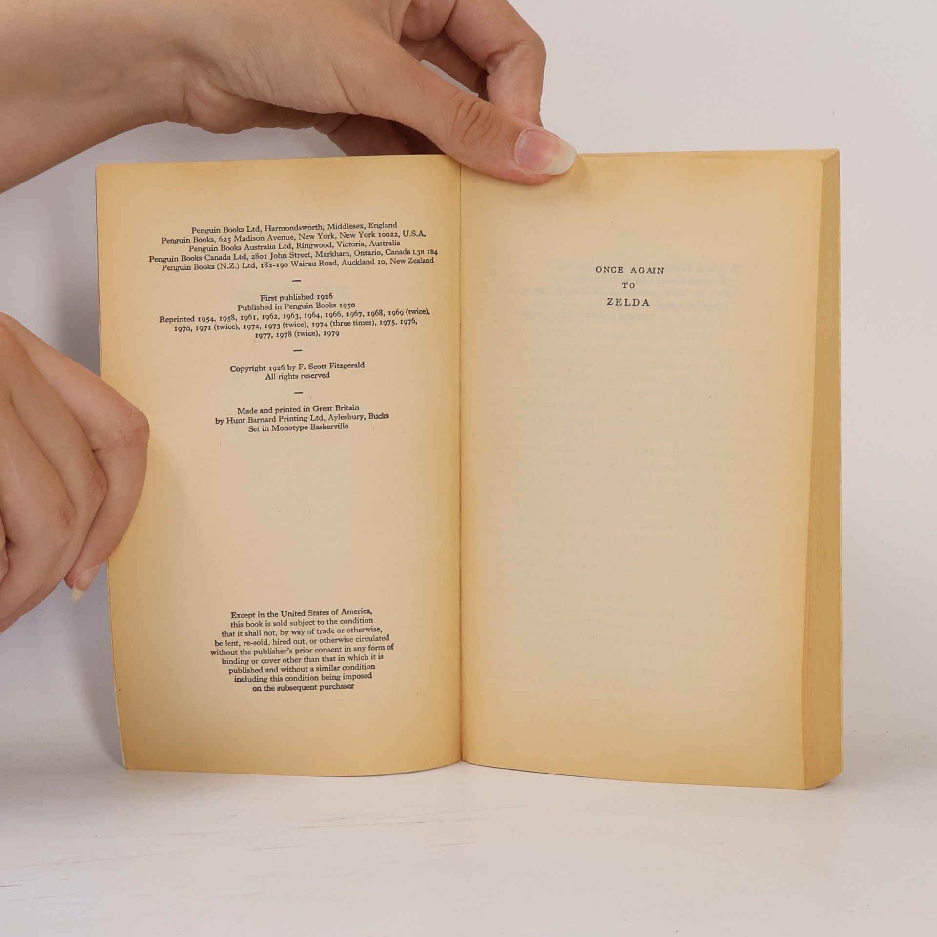 Francis Scott Fitzgerald The Great Gatsby