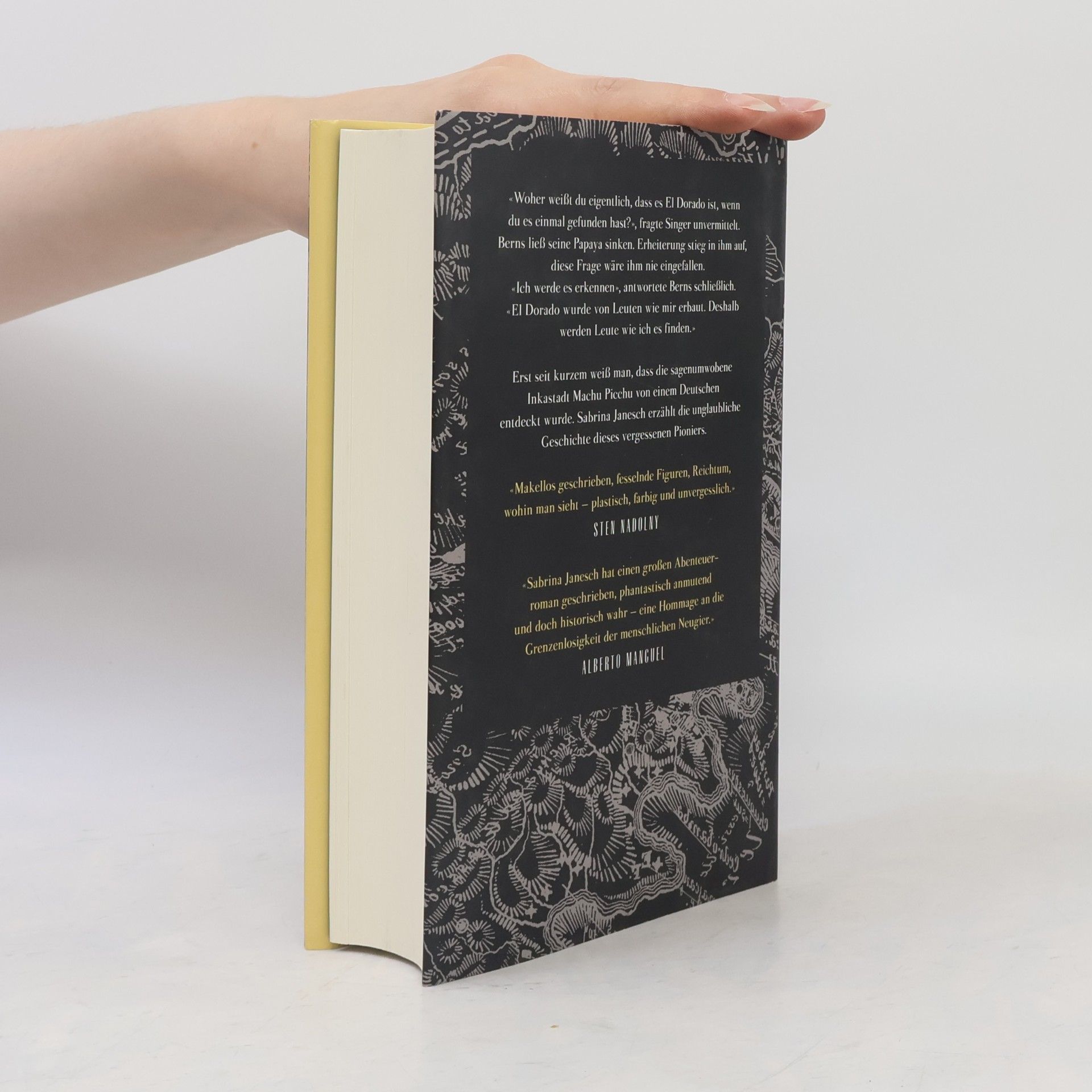 Sabrina Janesch Die goldene Stadt