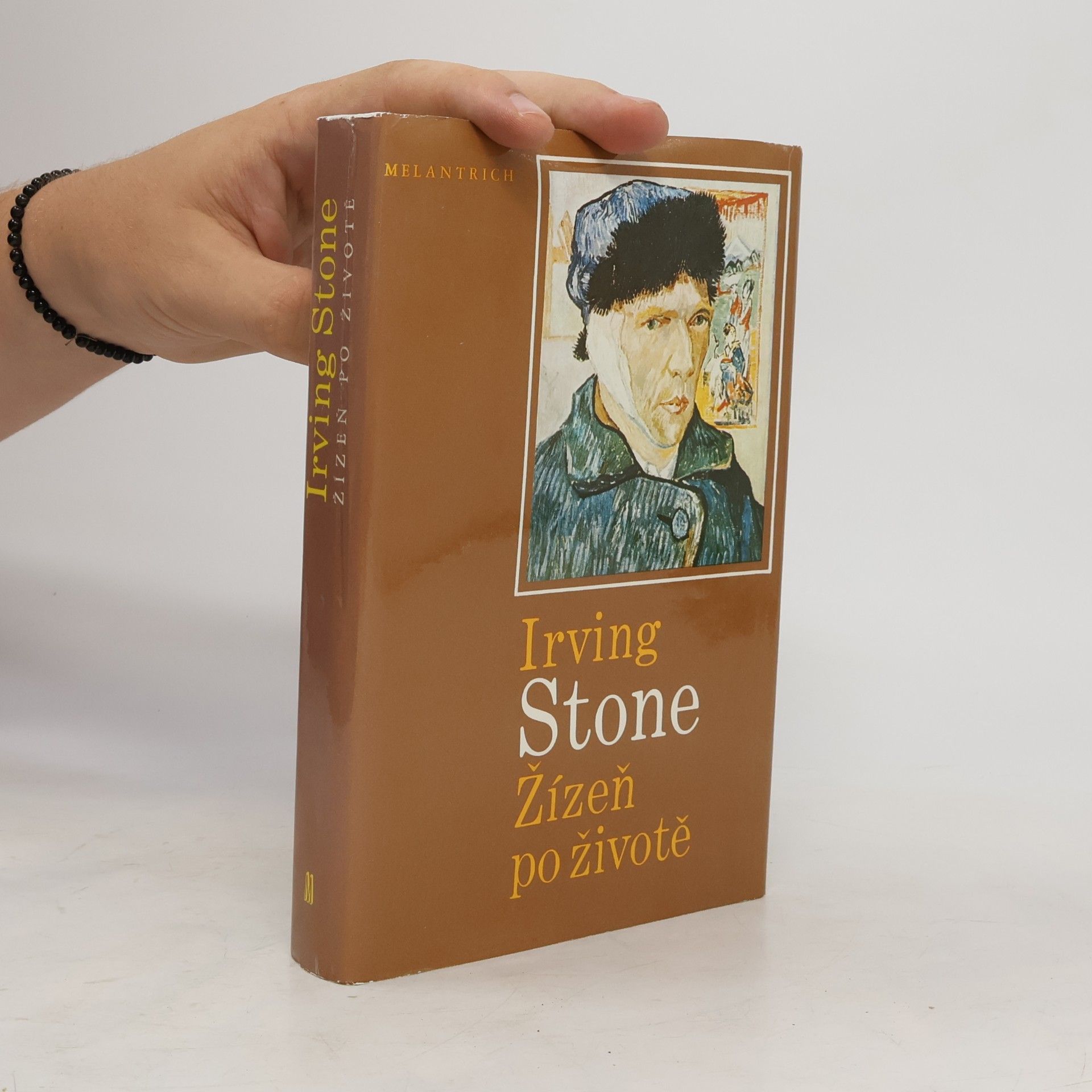 Irving Stone Žízeň po životě