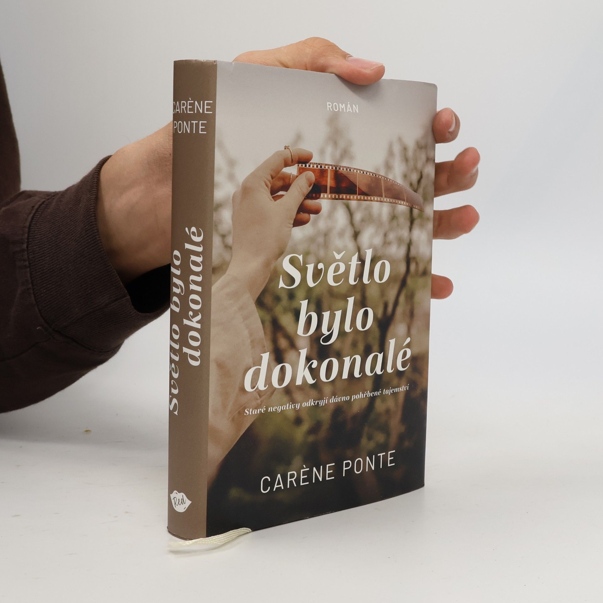 Carène Ponte Světlo bylo dokonalé