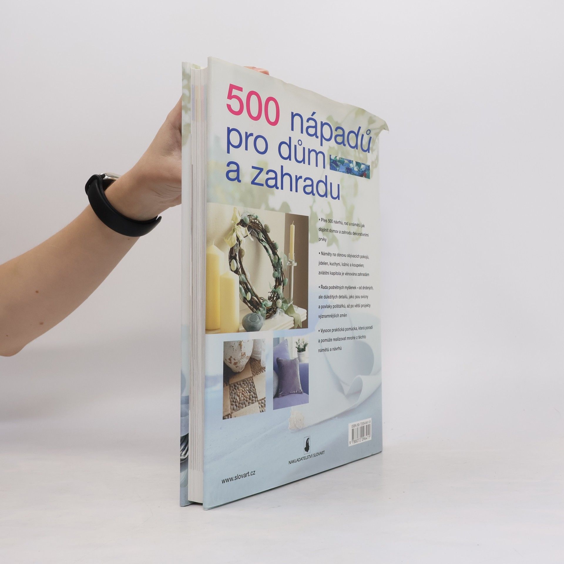 Tessa Evelegh 500 nápadů pro dům a zahradu
