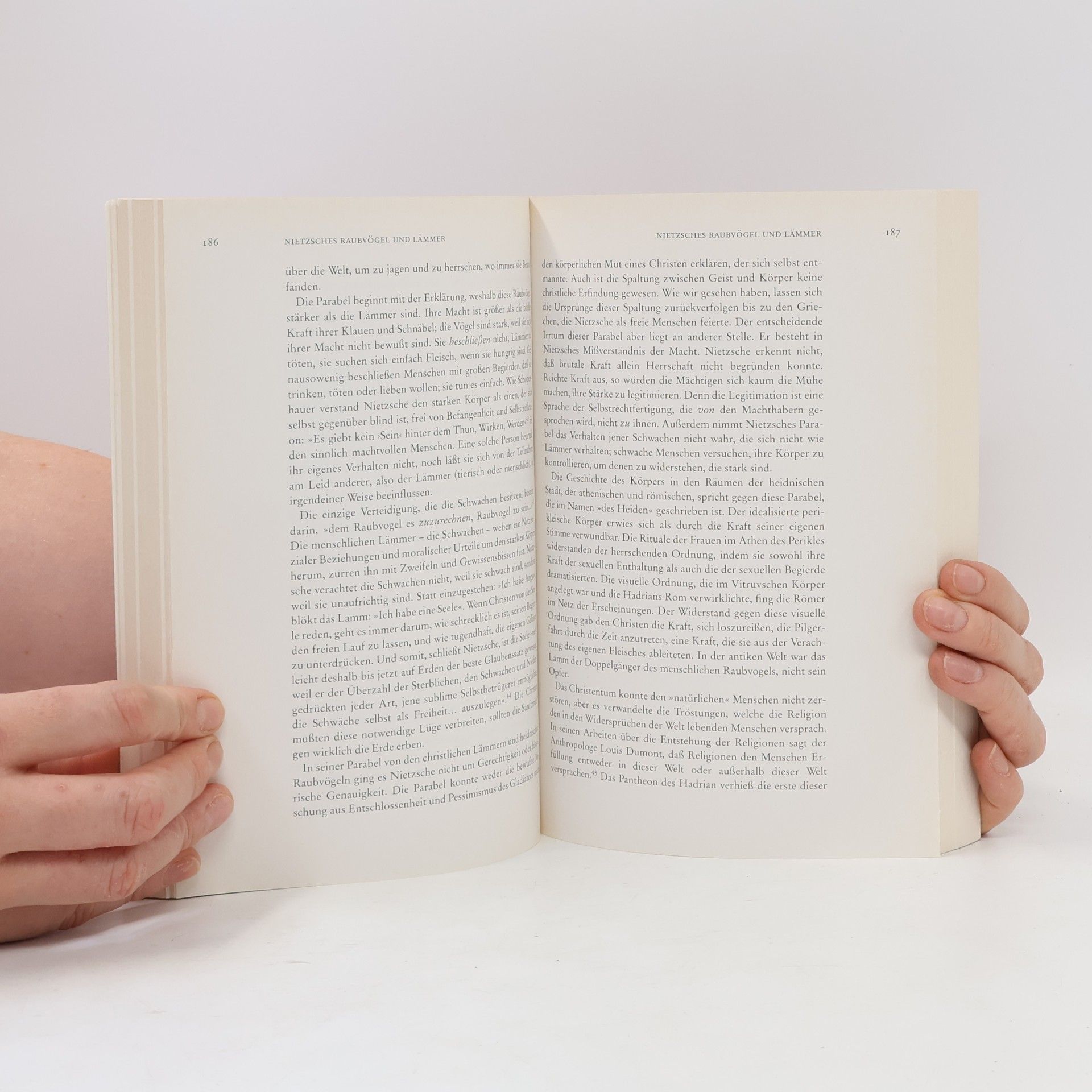 Richard Sennett Fleisch und Stein