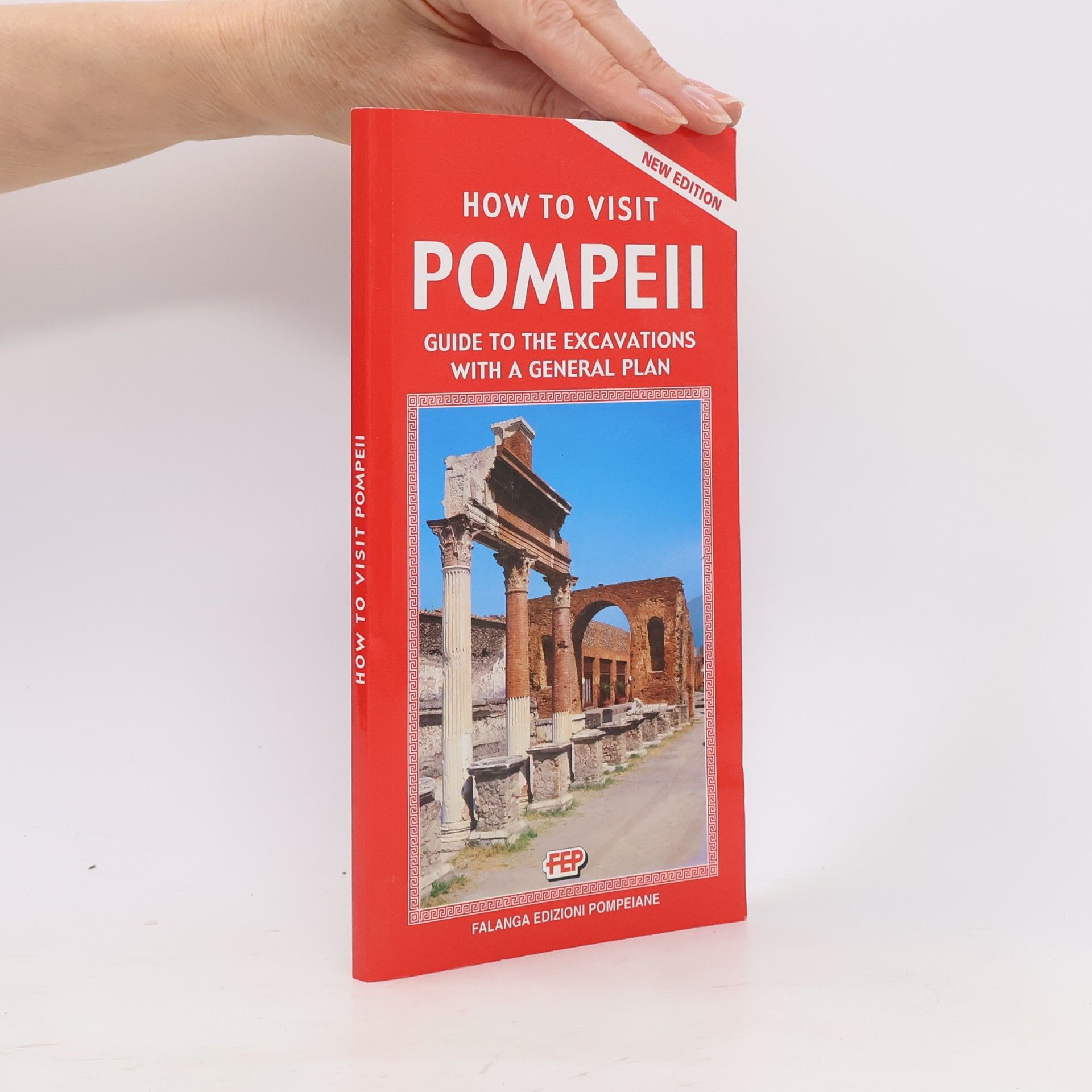 Autores varios How to Visit Pompeii