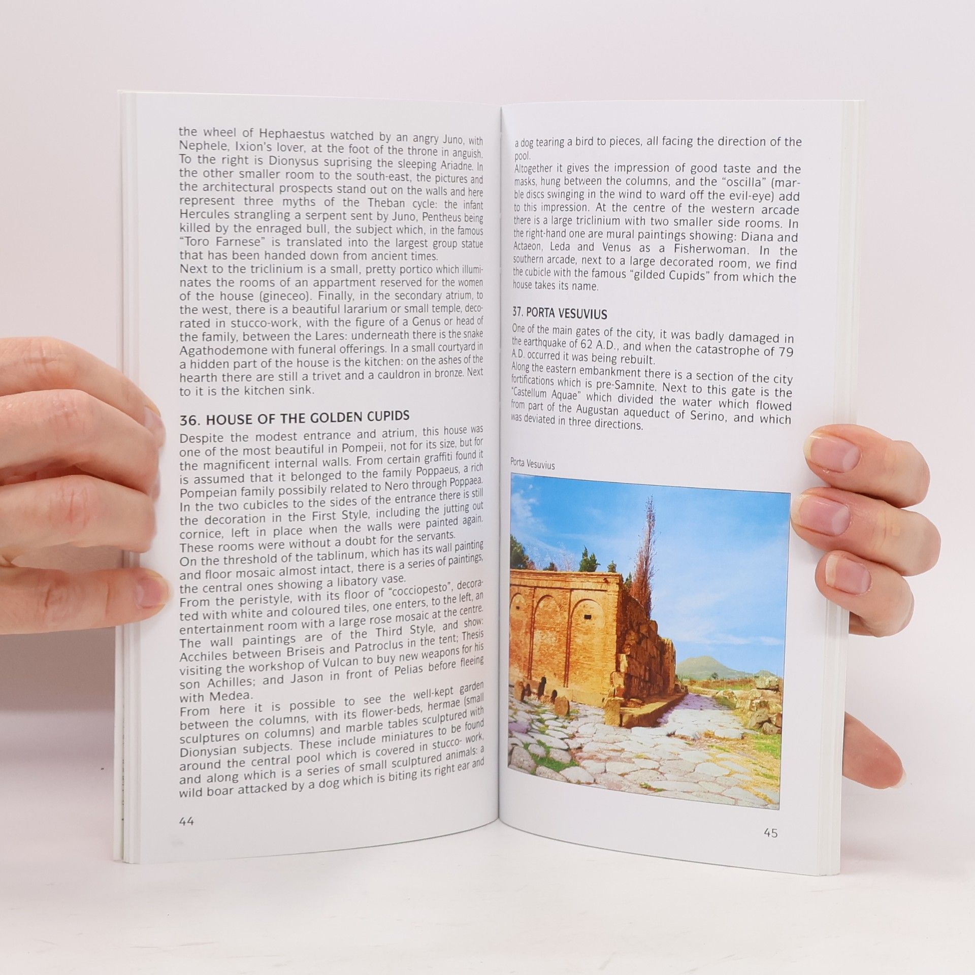 AA.VV. How to Visit Pompeii