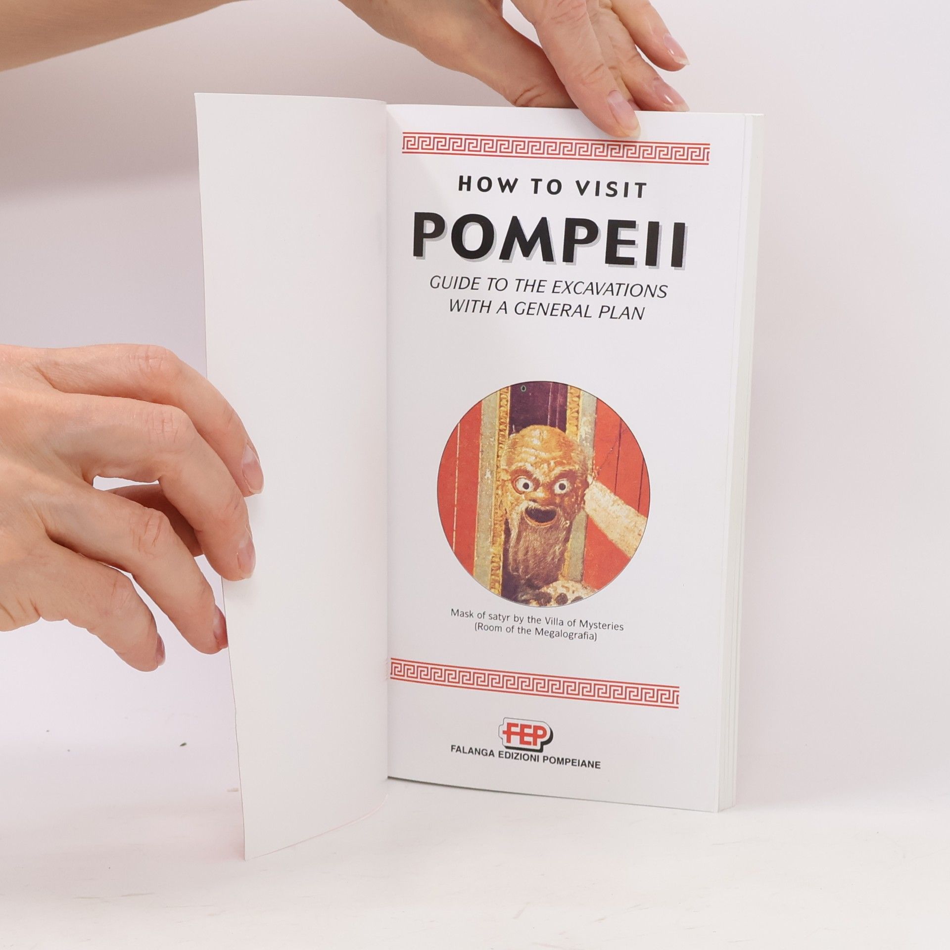 AA.VV. How to Visit Pompeii