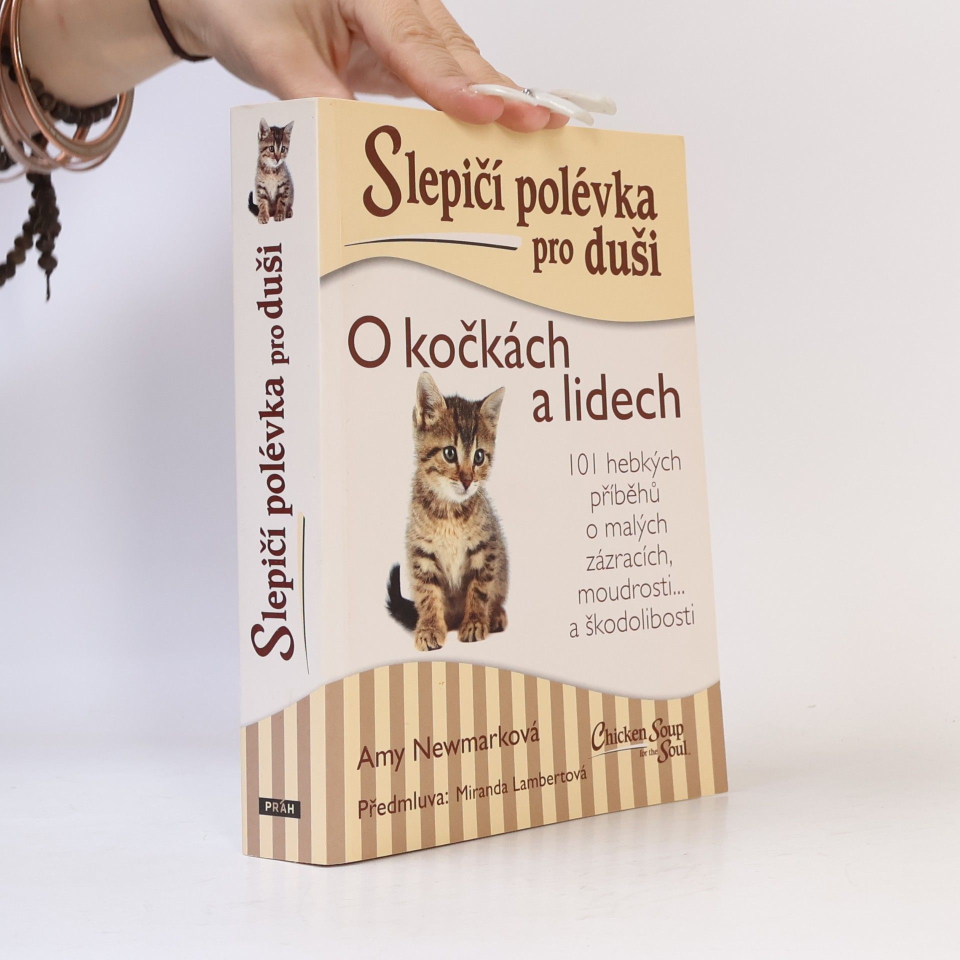 Amy Newmark Slepičí polévka pro duši