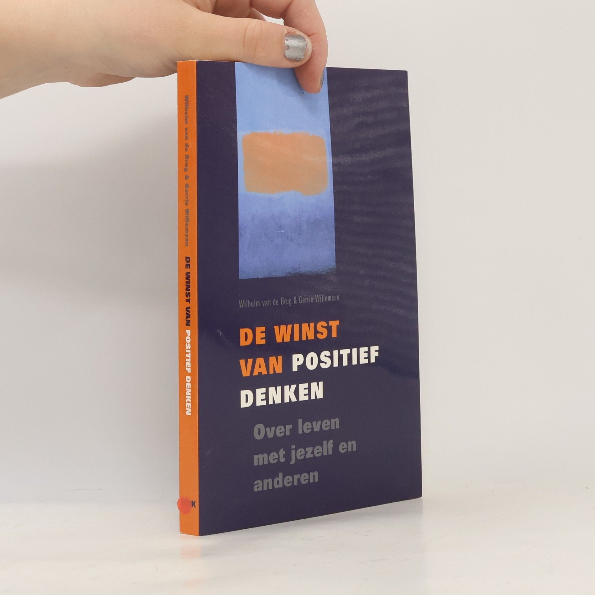 Wilhelm van de Brug De winst van positief denken