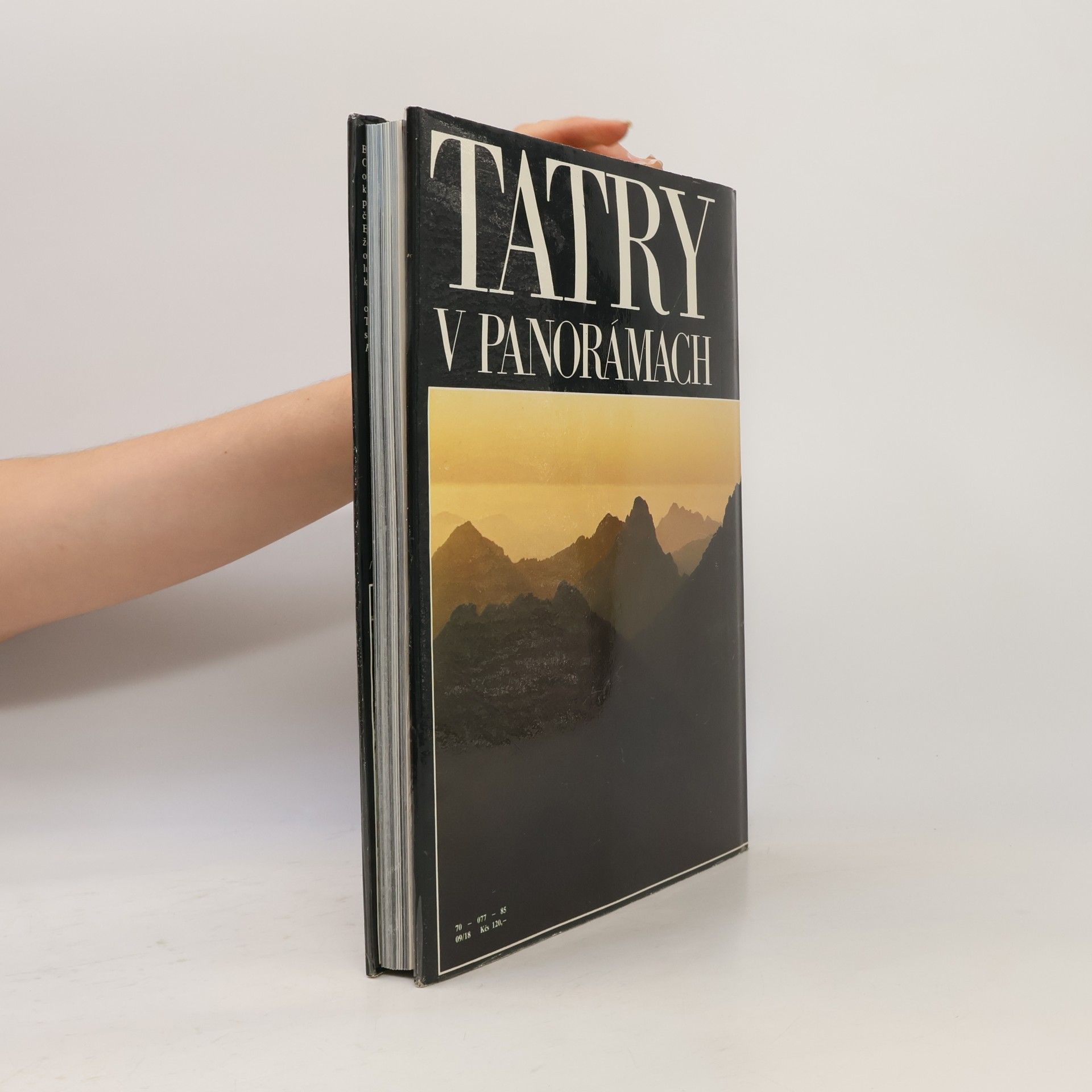 Luboš Brchel Tatry v panorámach