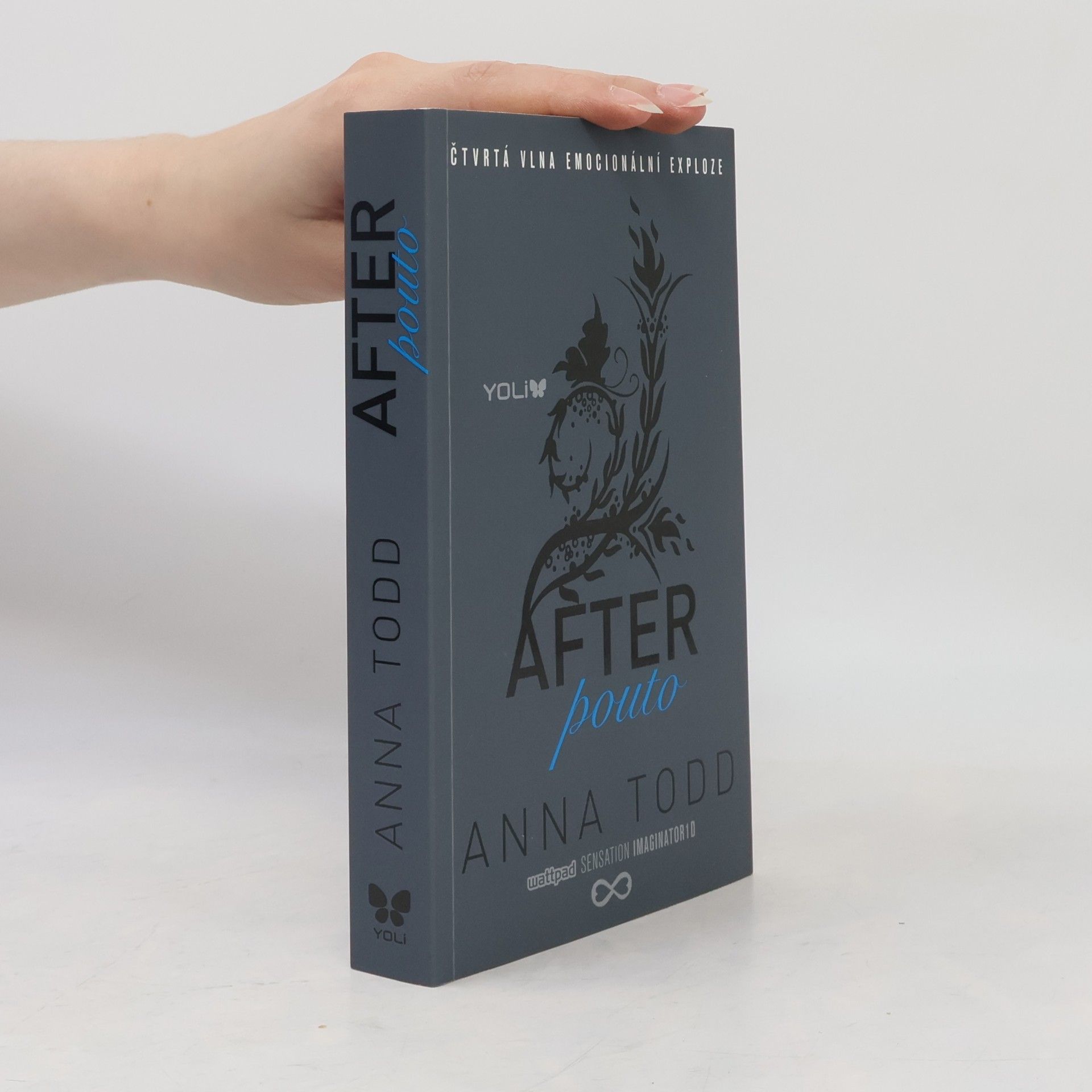 Anna Todd After. Pouto