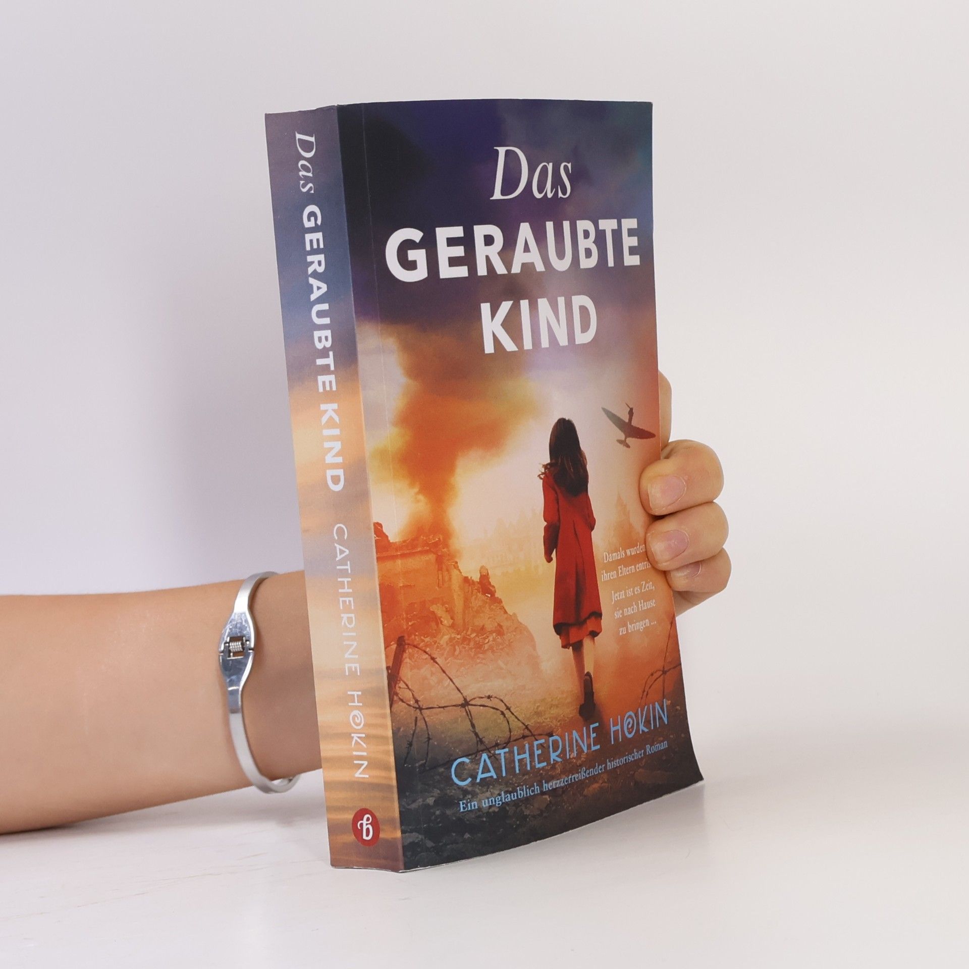 Catherine Hokin Das geraubte Kind