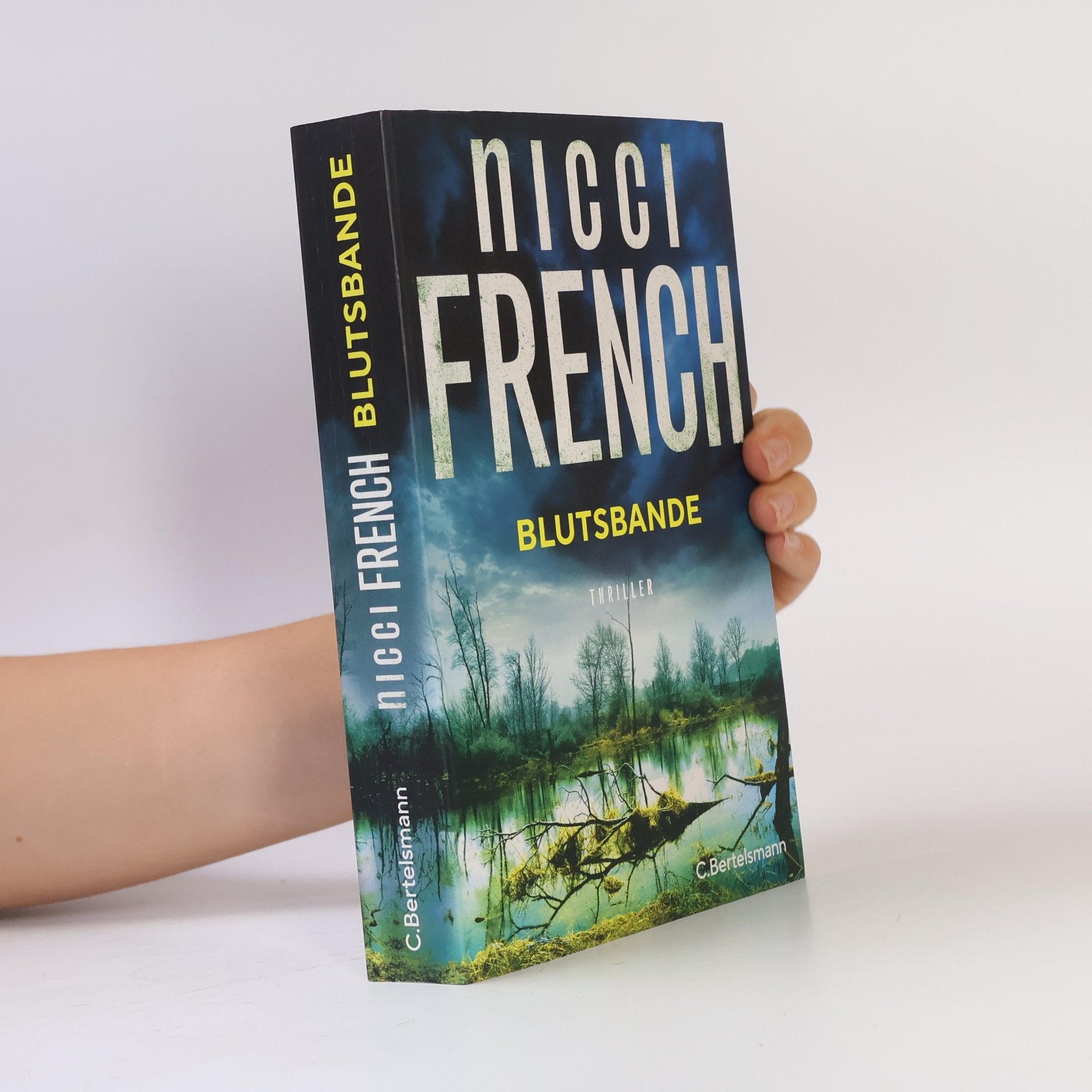 Nicci French Blutsbande