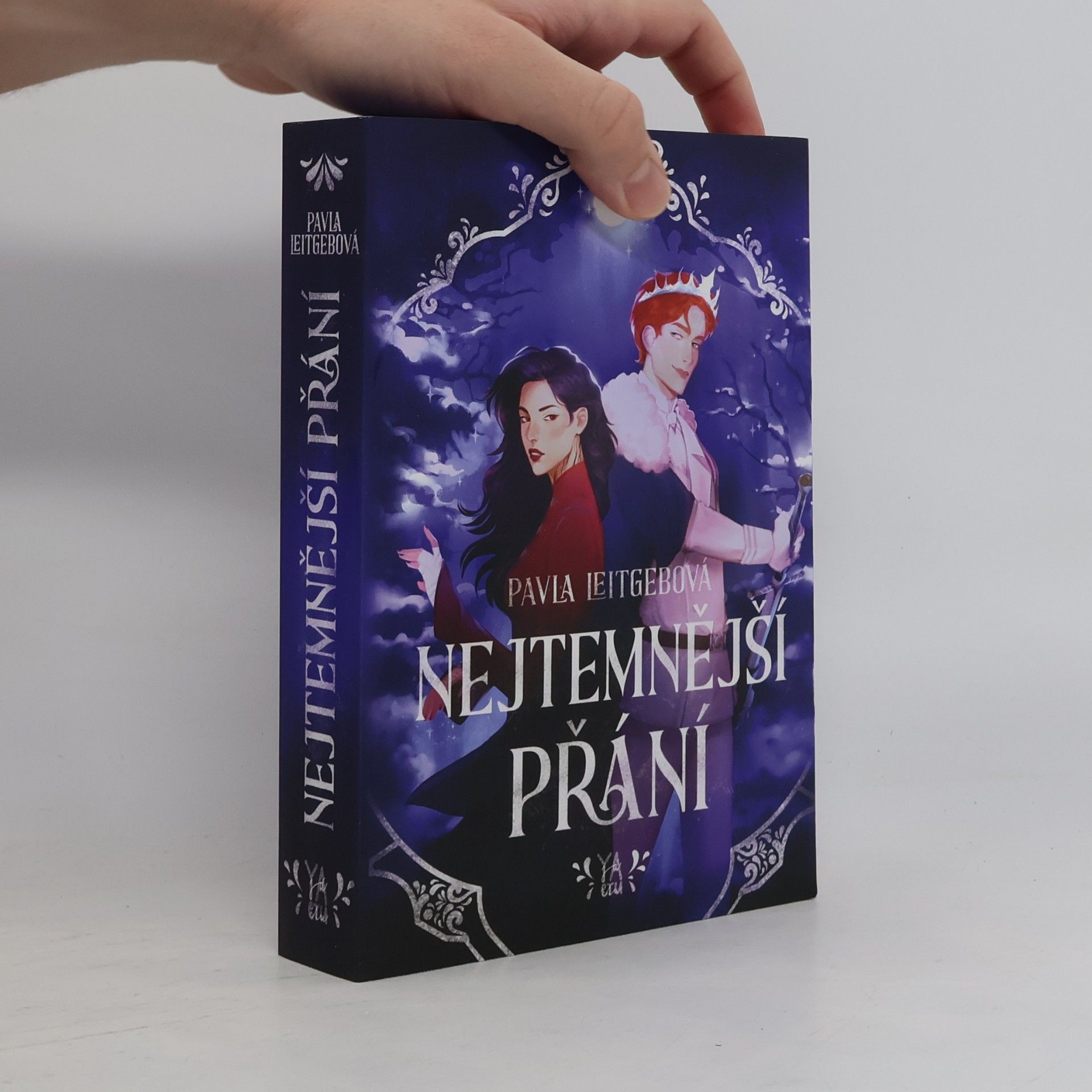Pavla Leitgebova Nejtemnější přání