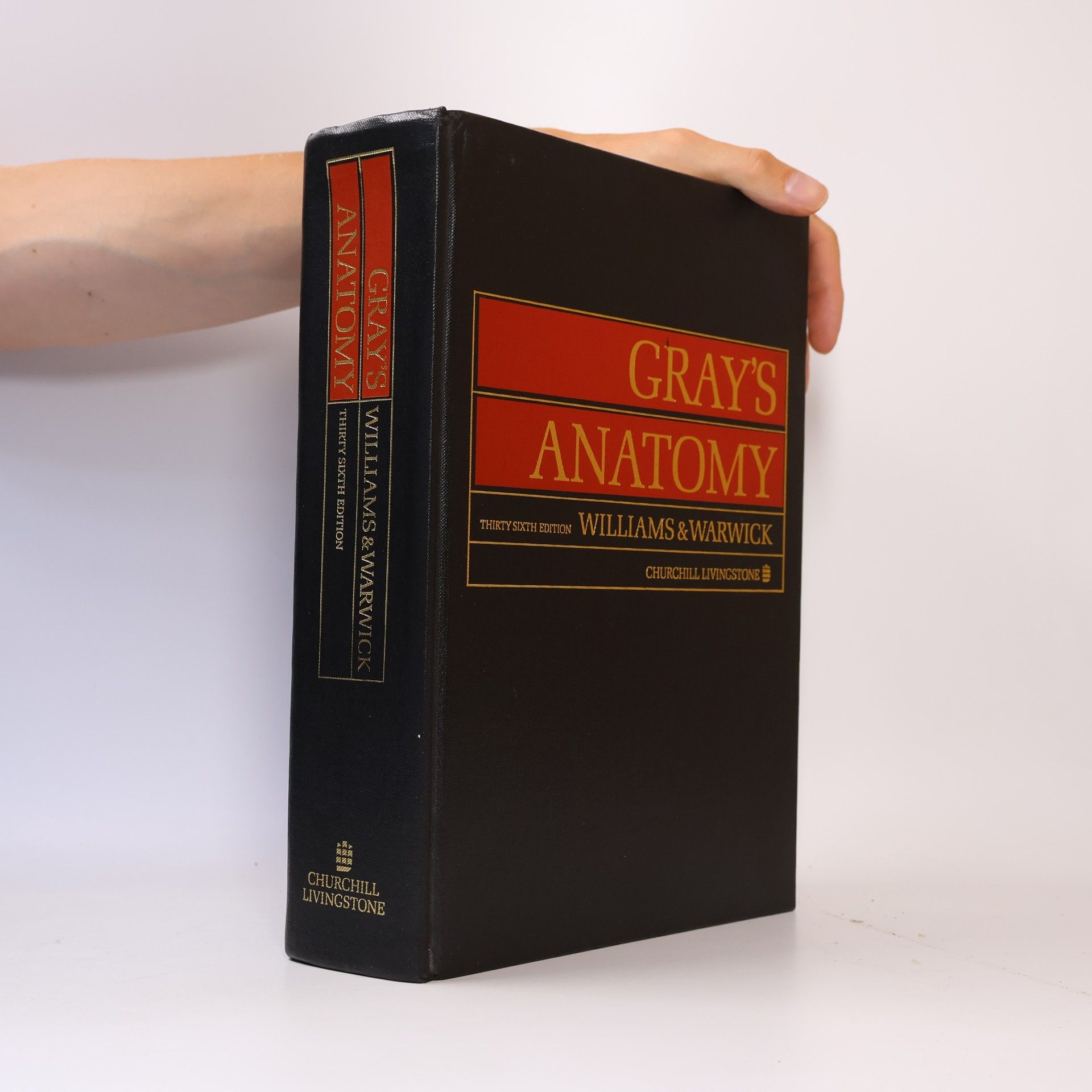Henry Gray Gray's Anatomy