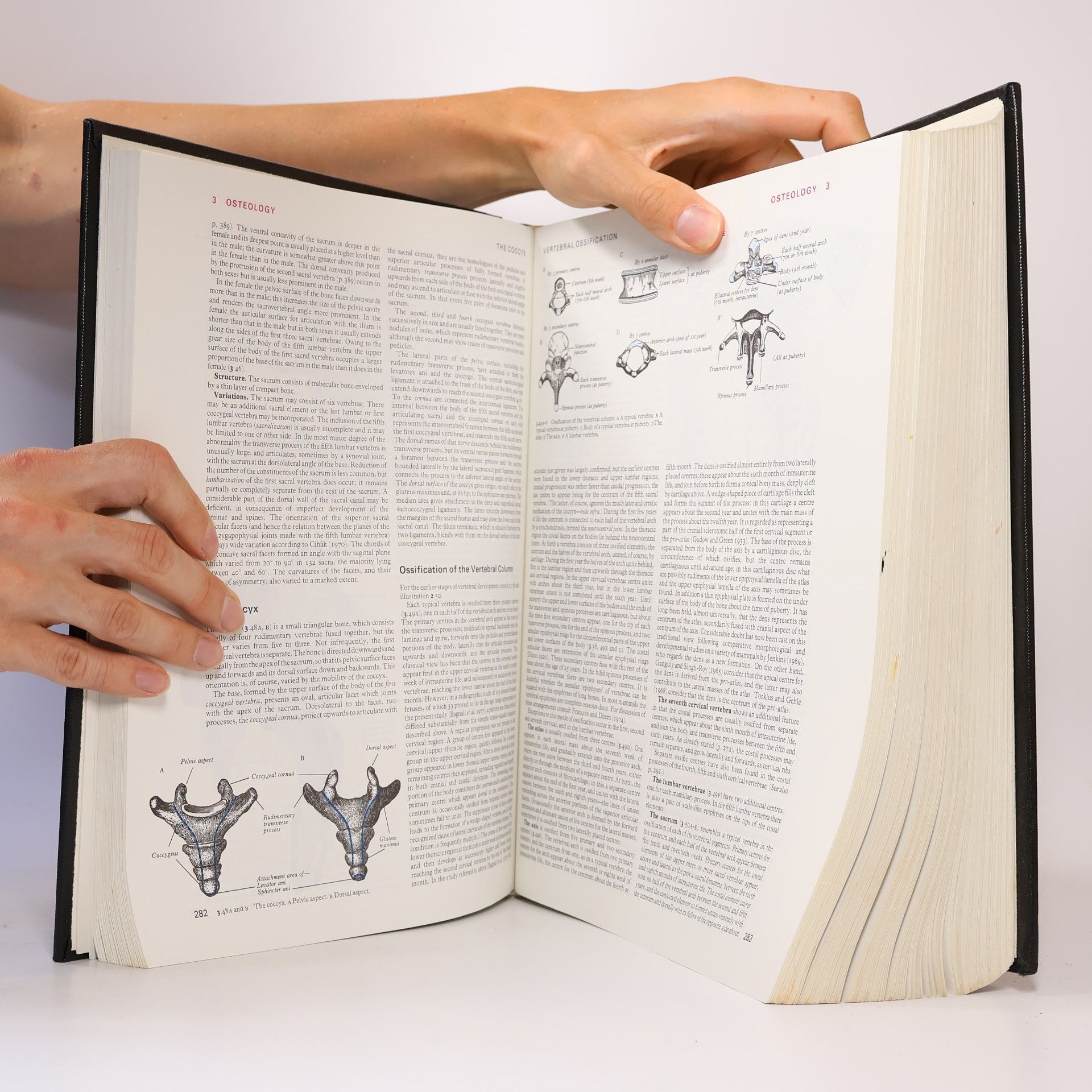 Henry Gray Gray's Anatomy