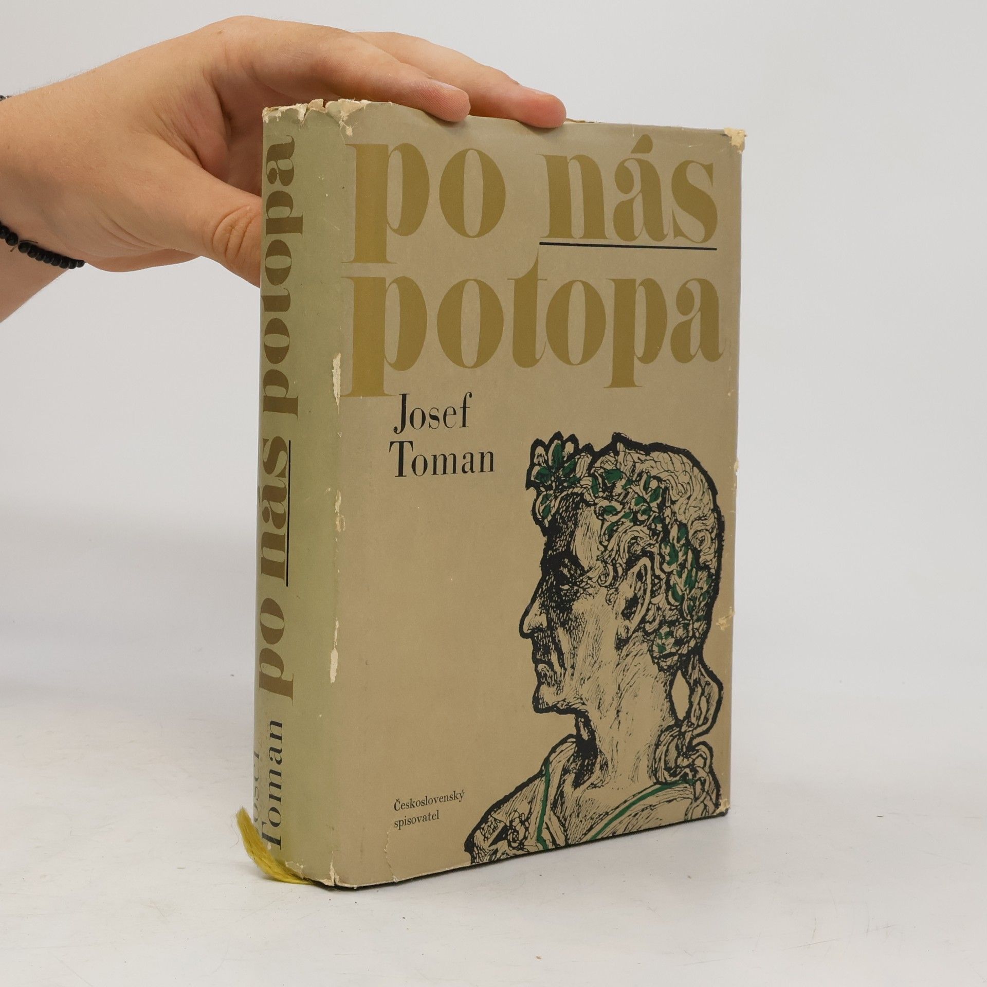 Josef Toman Po nás potopa