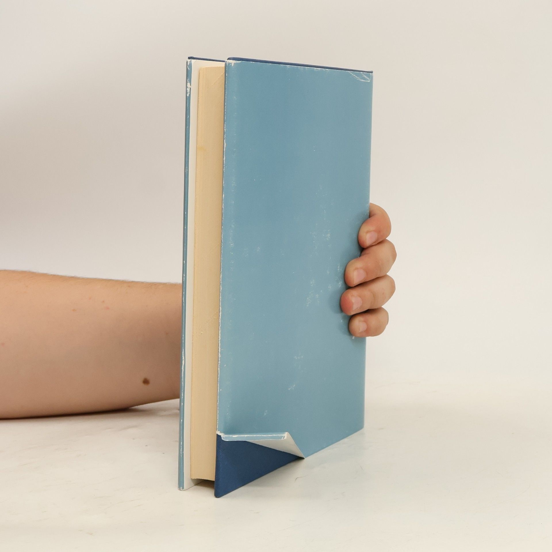 Benedetto Battipede Dizionario del dialetto di Castrovillari