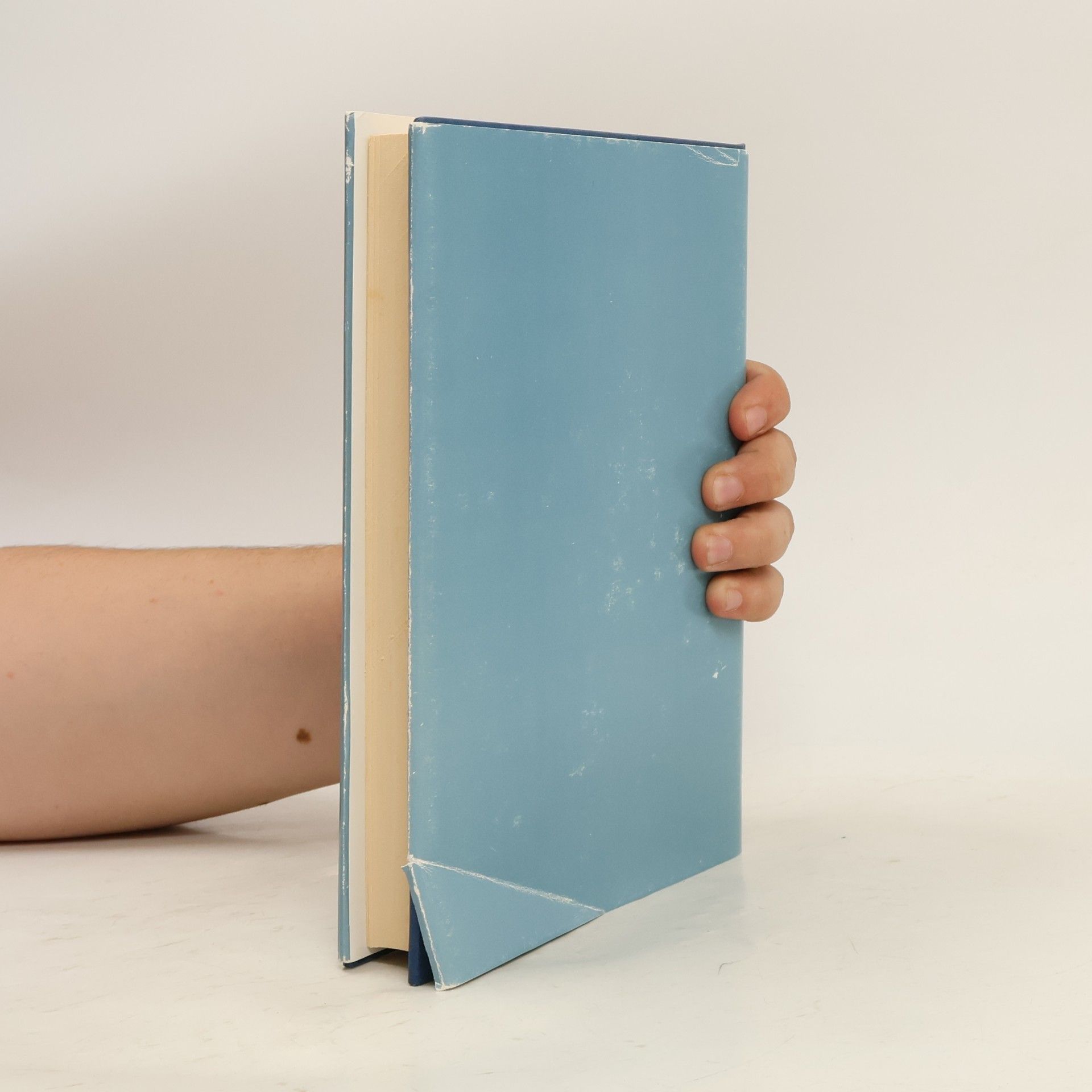 Benedetto Battipede Dizionario del dialetto di Castrovillari
