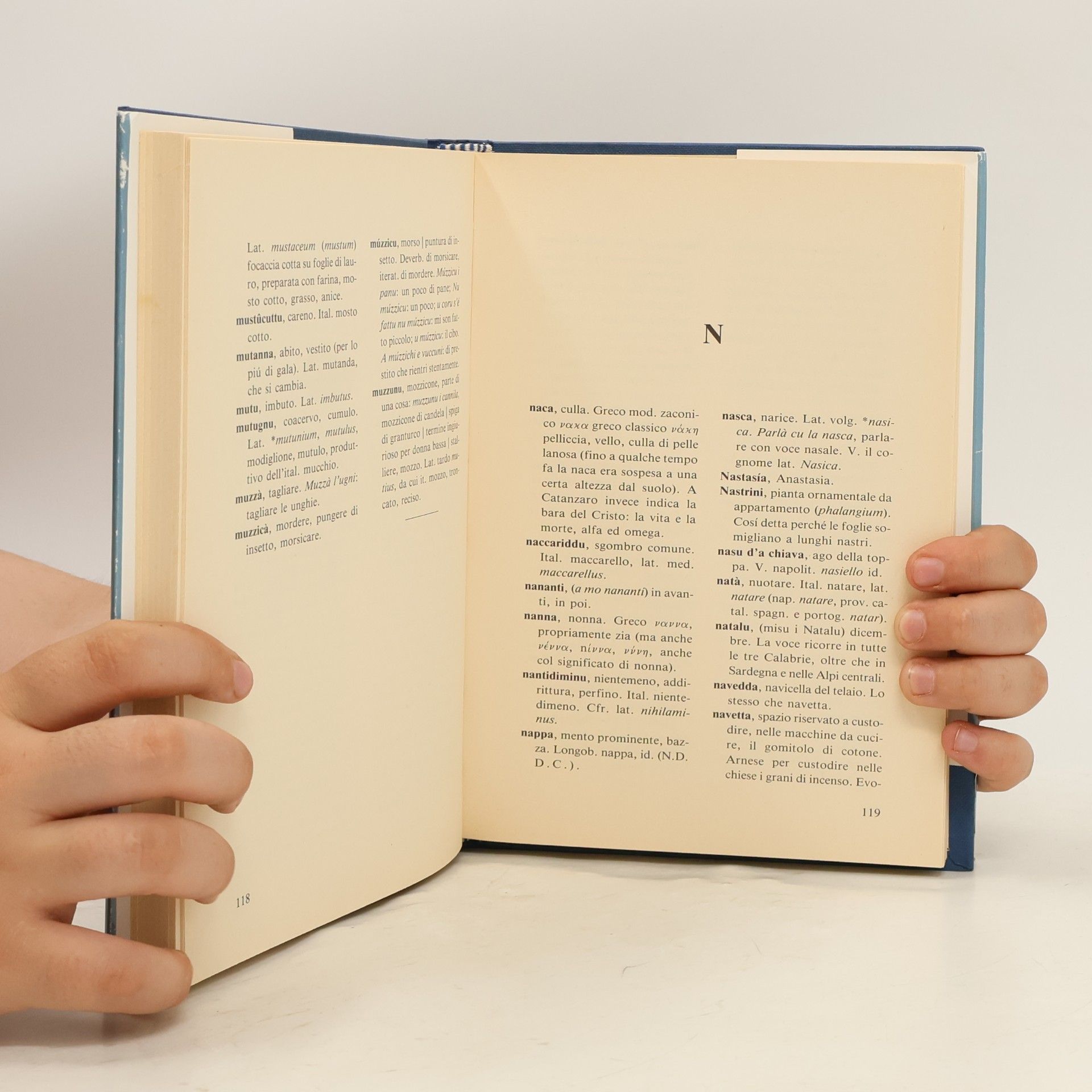 Benedetto Battipede Dizionario del dialetto di Castrovillari