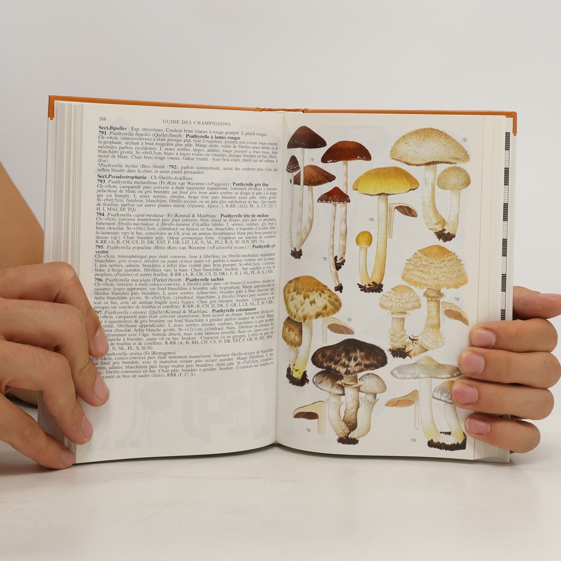 Régis Courtecuisse Les Guides du Naturaliste: Guide des champignons de France et d'Europe