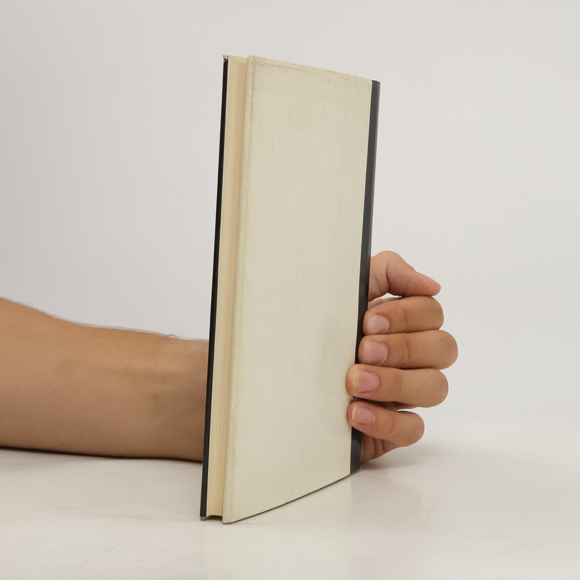 Gottfried Amann Pilze des Waldes