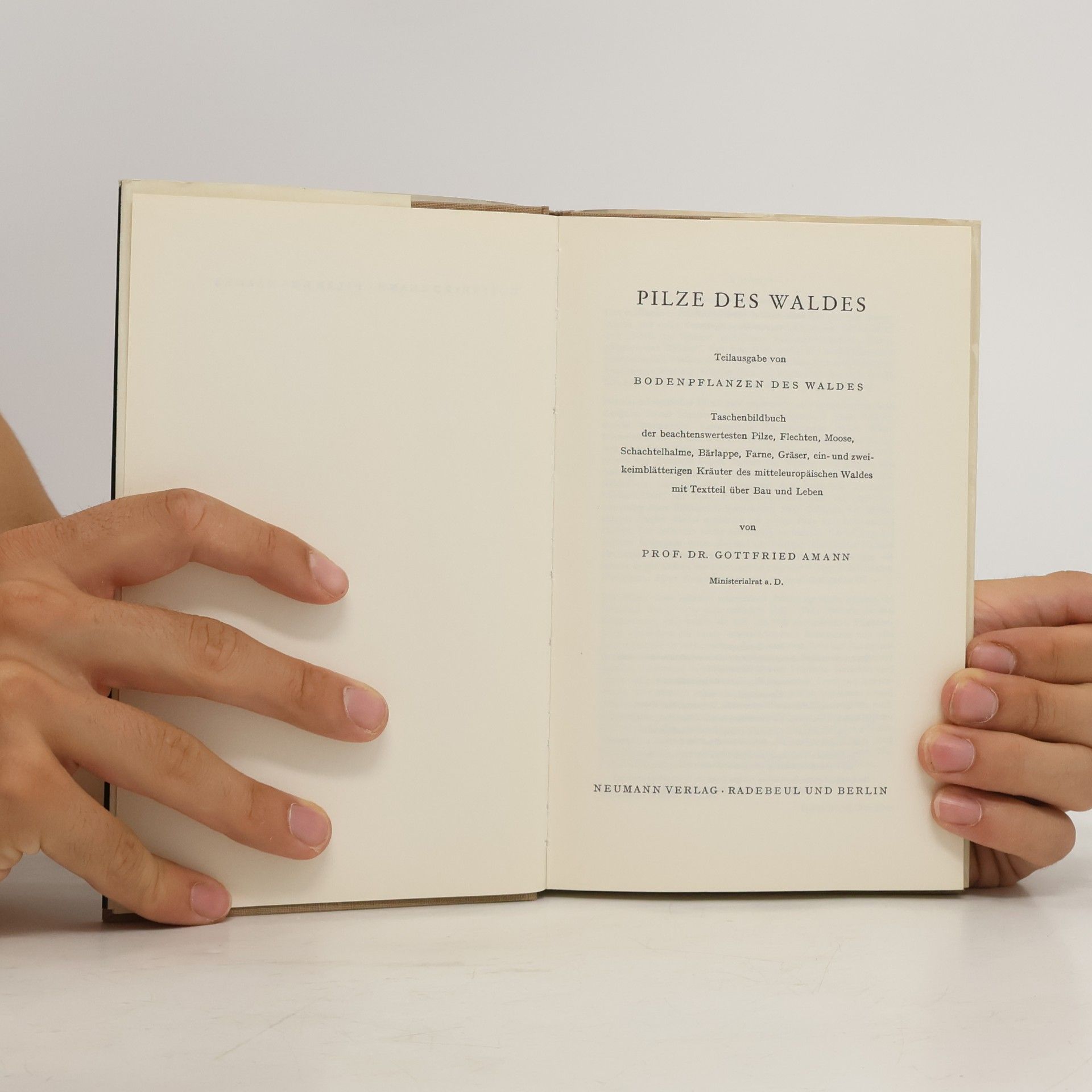Gottfried Amann Pilze des Waldes