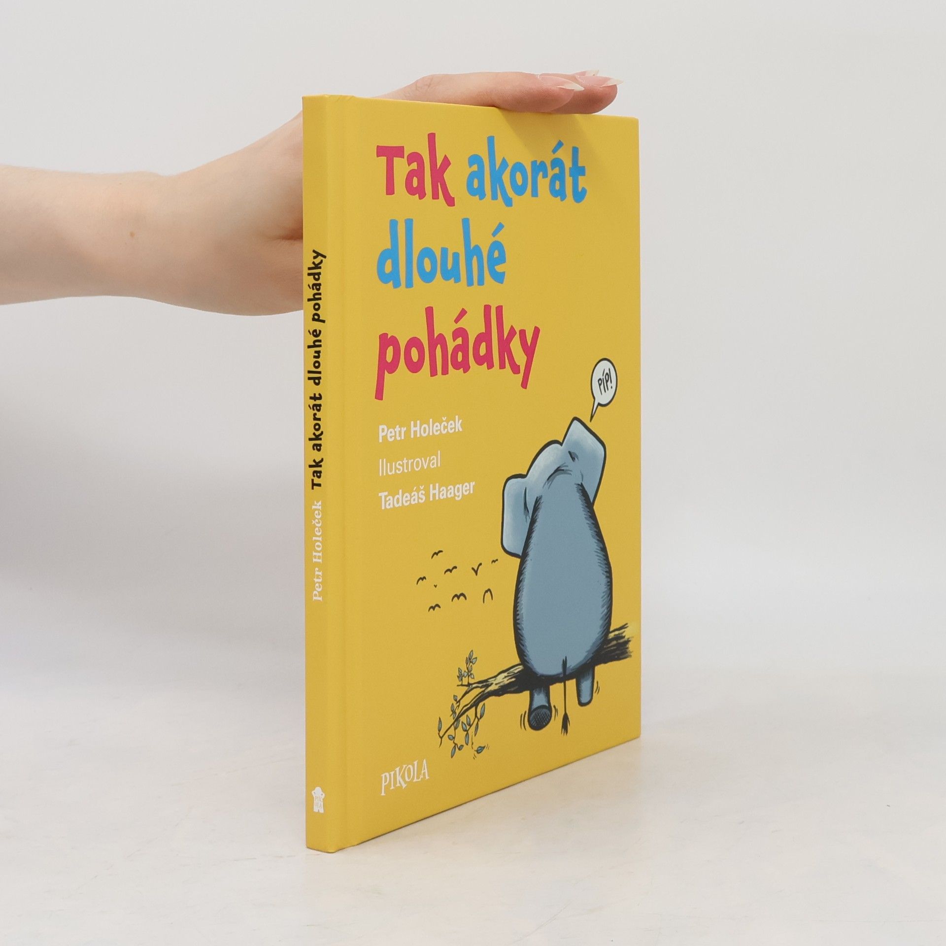 Tadeáš Haager Tak akorát dlouhé pohádky