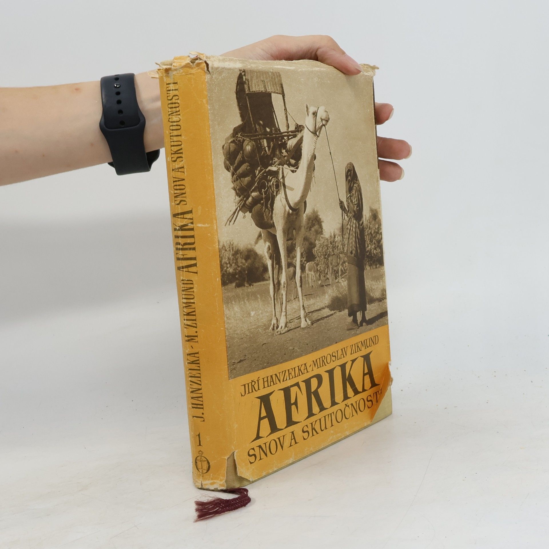 Afrika snov a skutočnosti 1