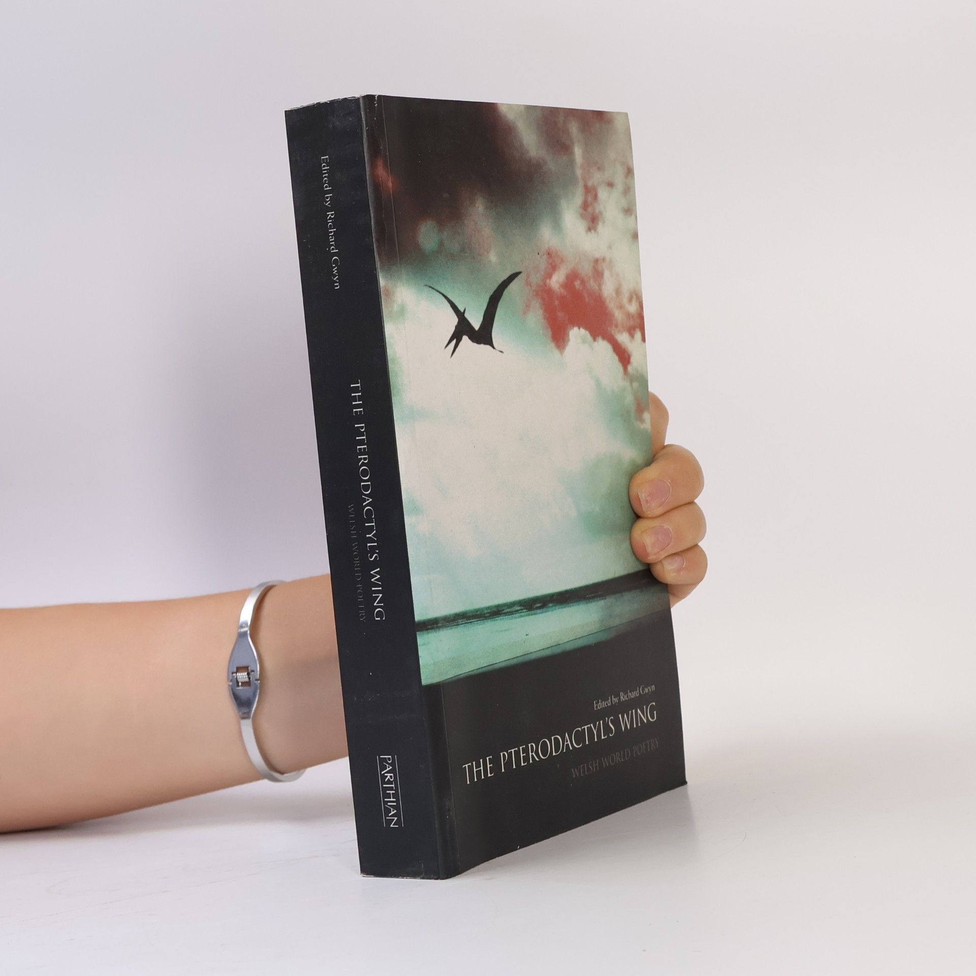 Kerry-Lee Powell The Pterodactyl's Wing