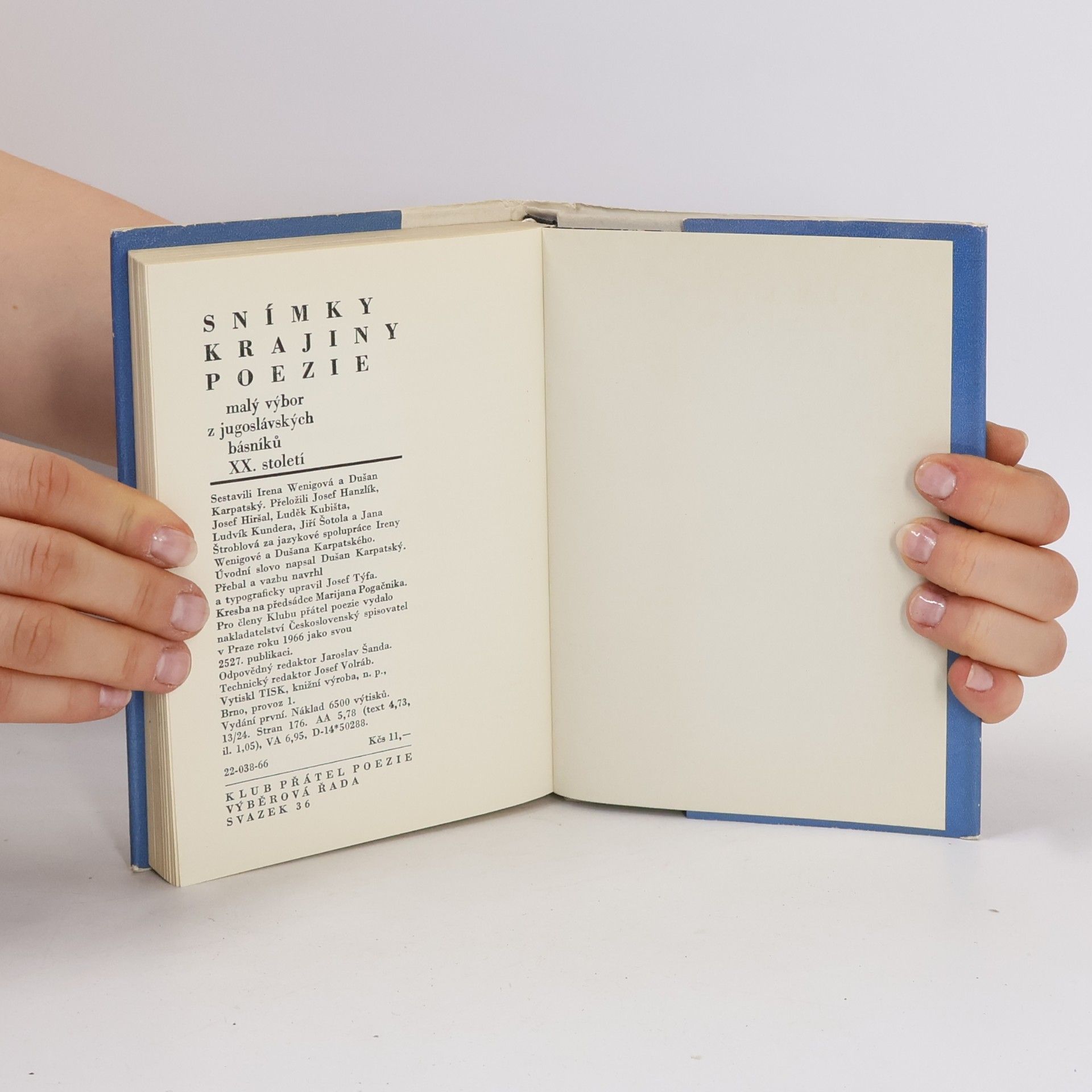 Kolektiv autorů Snímky krajiny poezie. Malý výbor z jugoslávských básníků XX. století