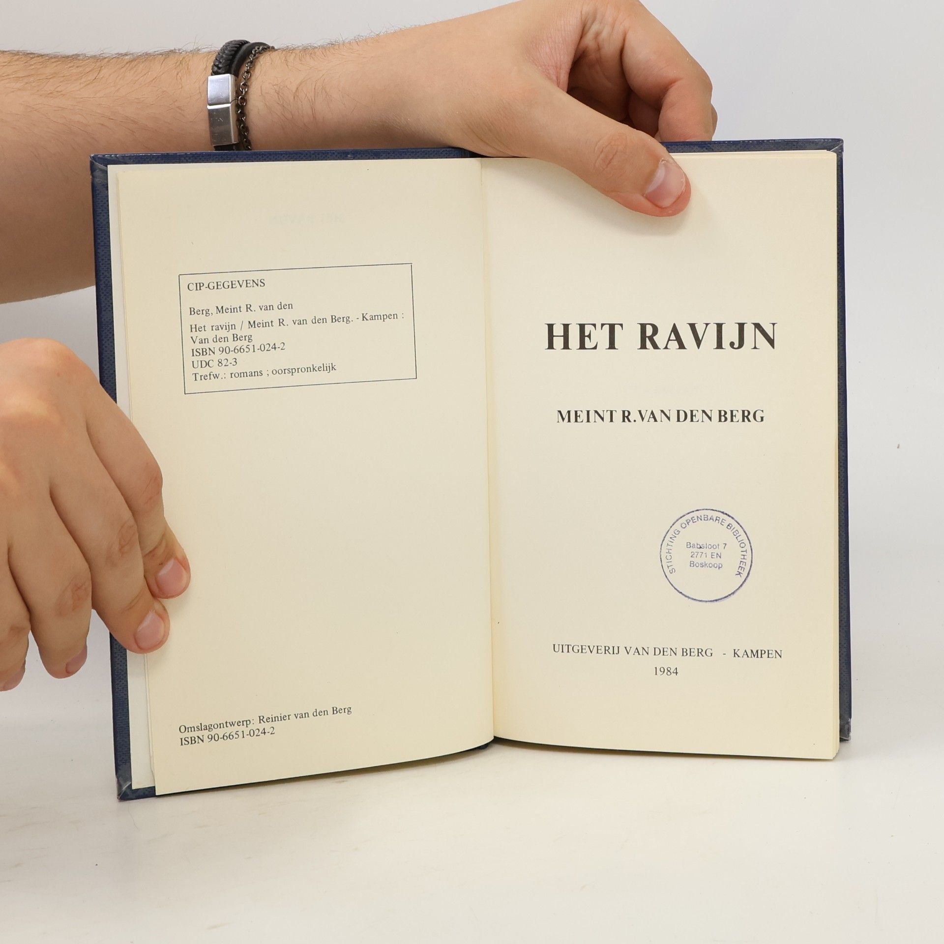 Meint Roelof van den Berg Het ravijn