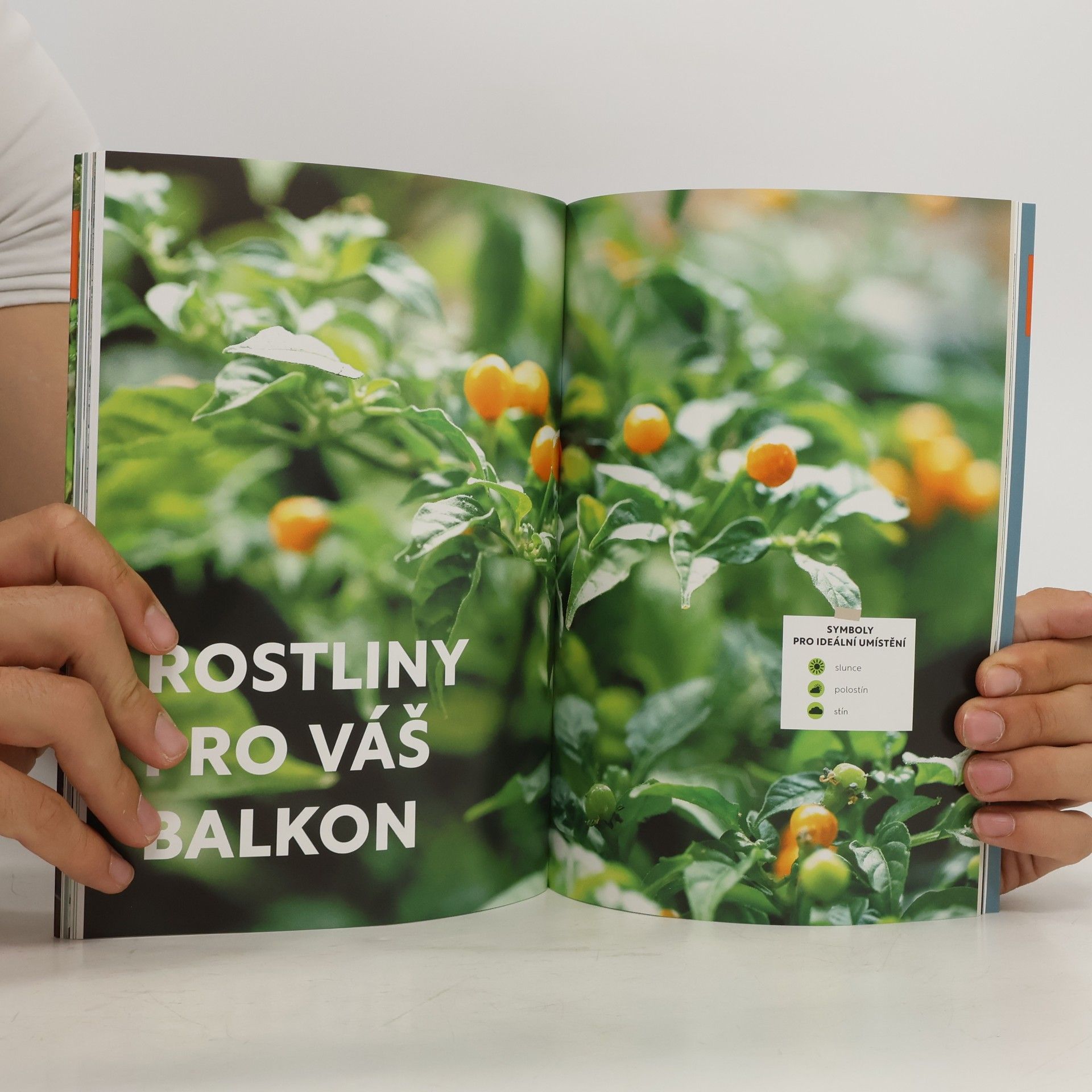 LisaMaria Trauer Vyvýšené záhony na balkoně