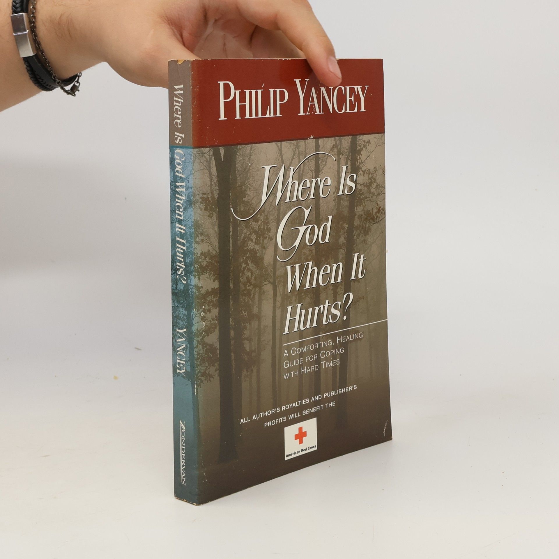Philip D. Yancey Where Is God When It Hurts?