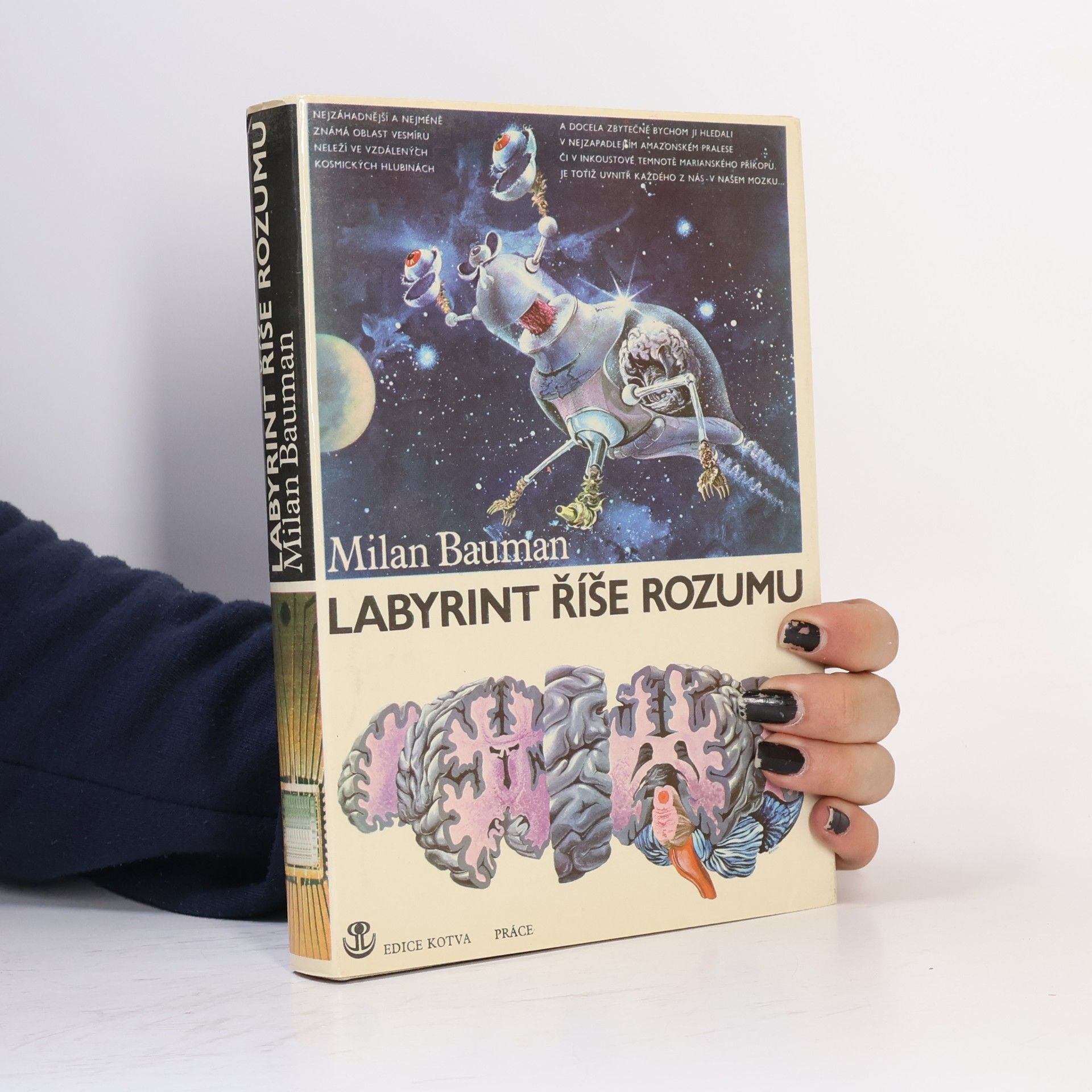 Milan Bauman Labyrint říše rozumu