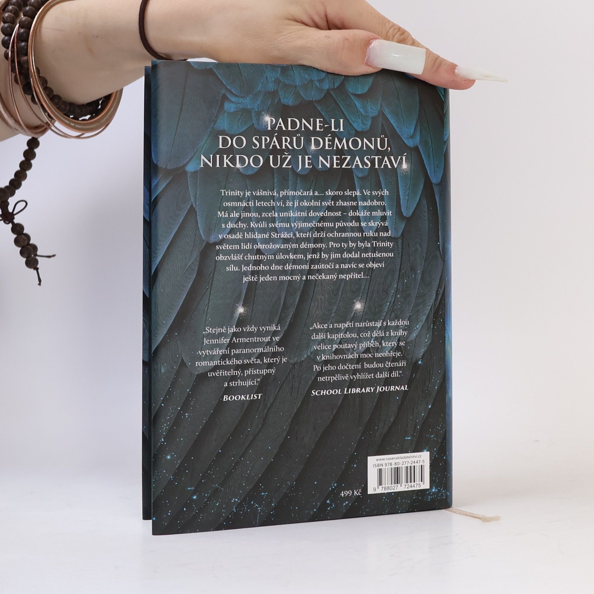 Jennifer Armentrout Bouře a běs