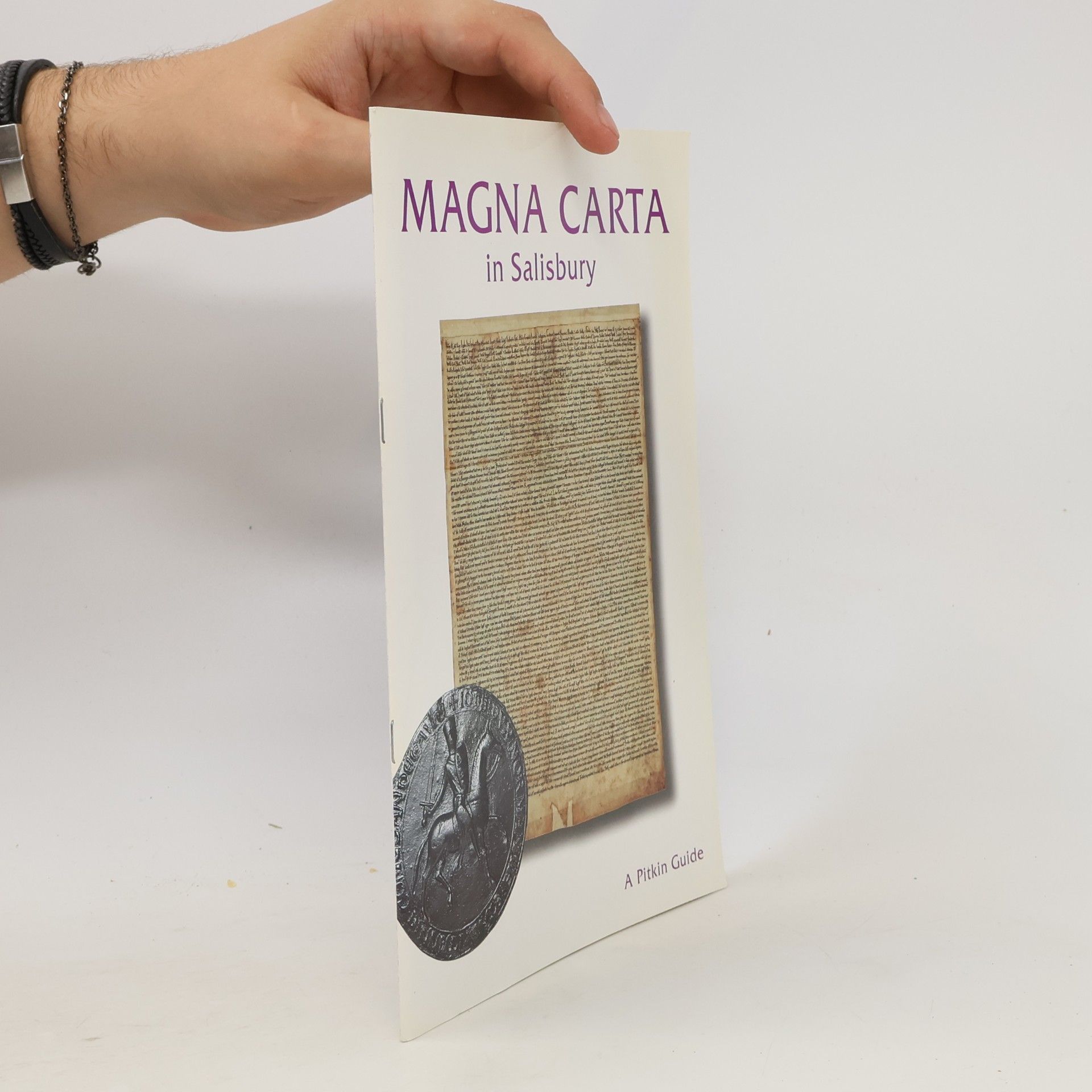 John McIlwain The Magna Carta in Salisbury