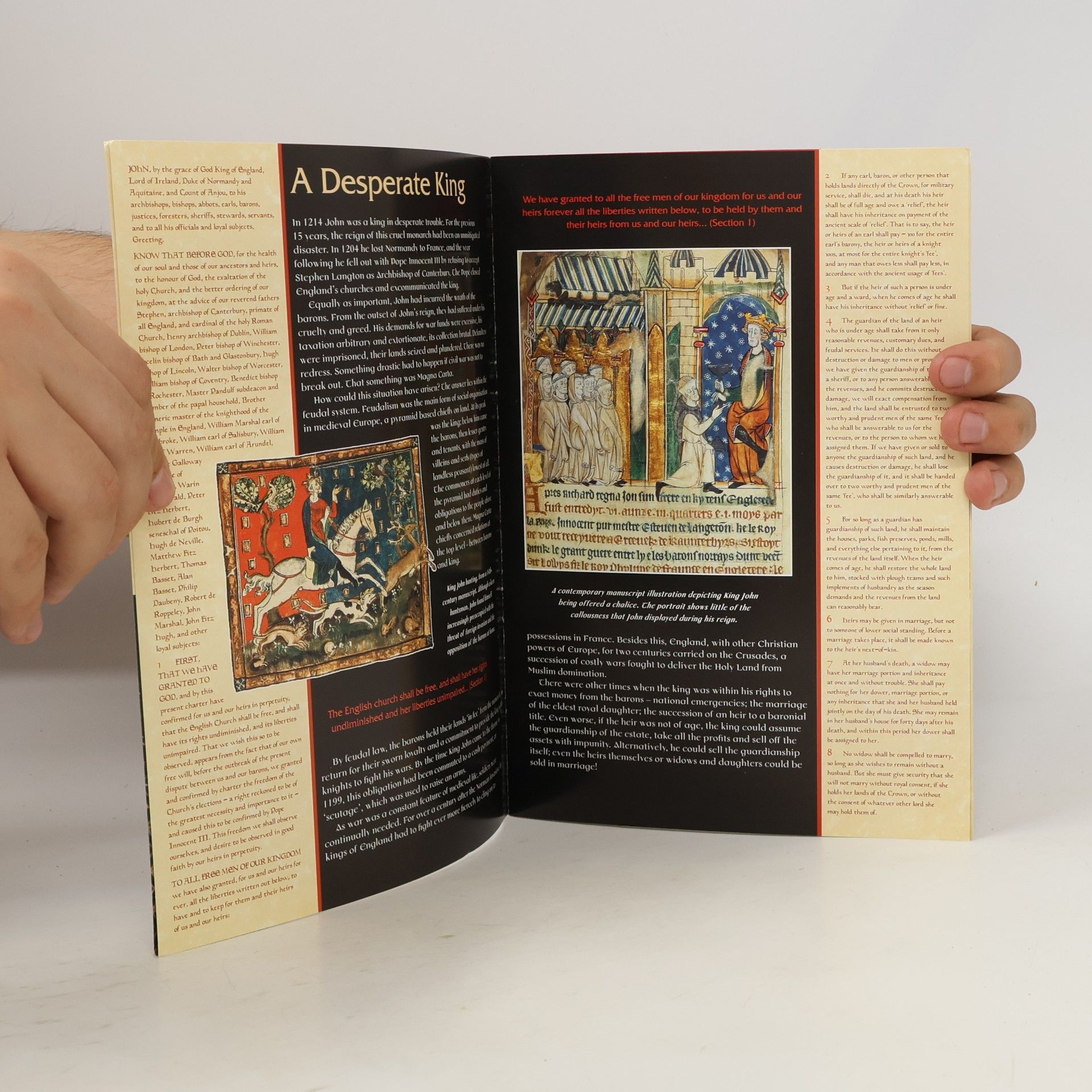 John McIlwain The Magna Carta in Salisbury