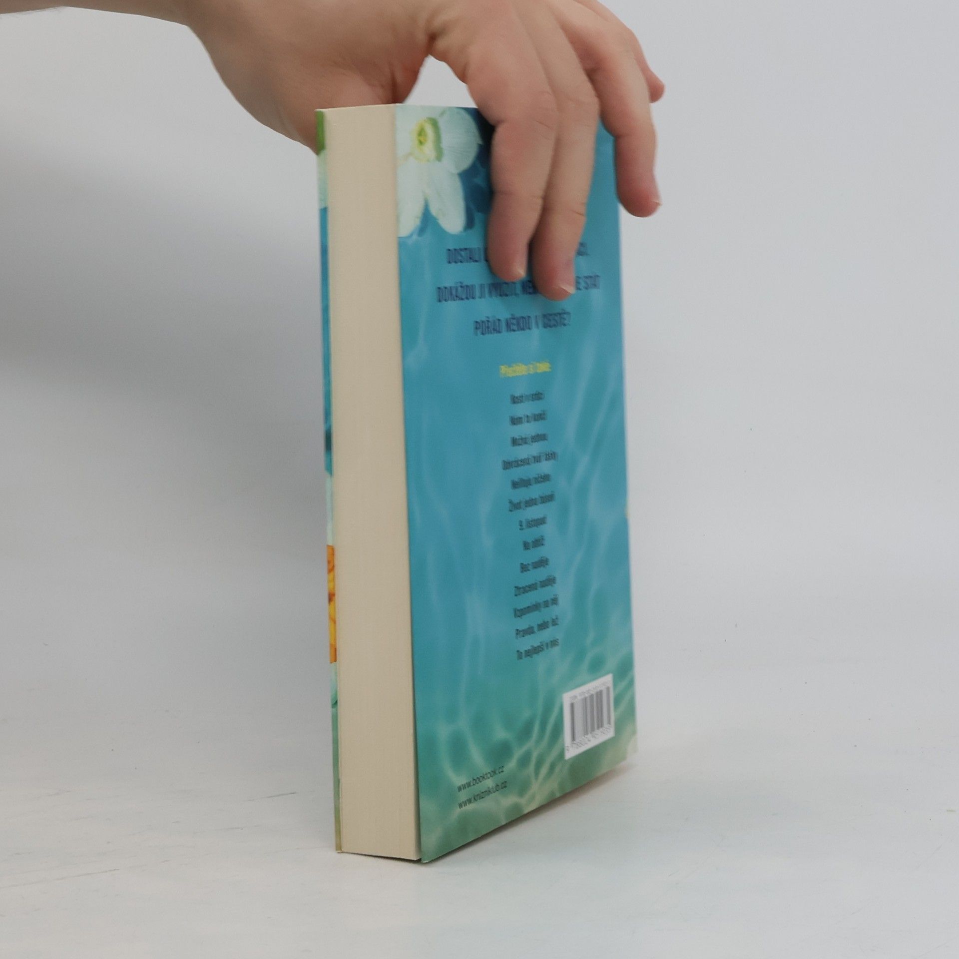 Colleen Hoover Námi to začíná