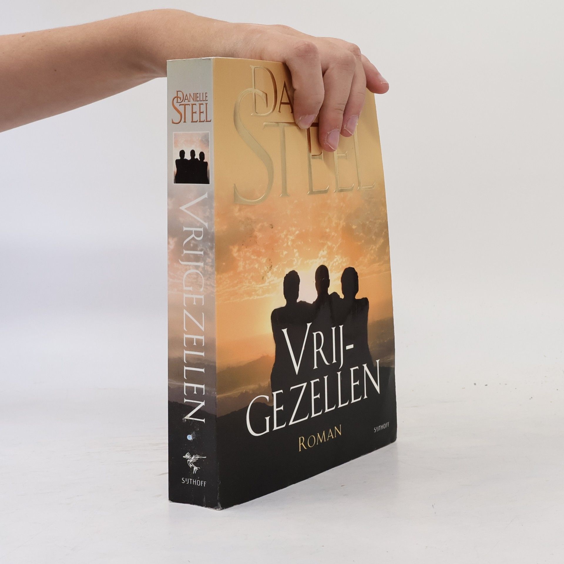 Danielle Steel Vrijgezellen