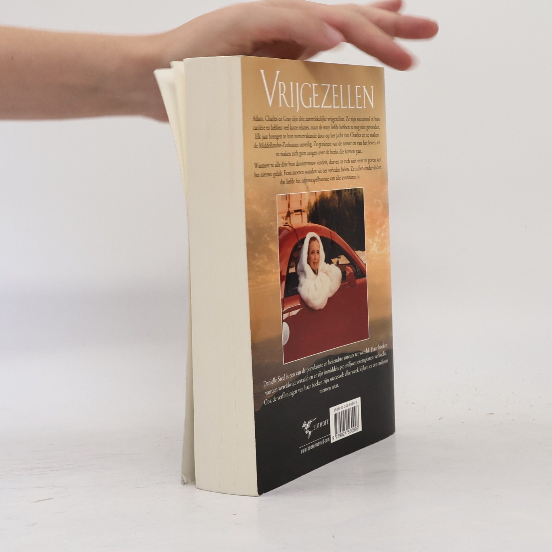 Danielle Steel Vrijgezellen